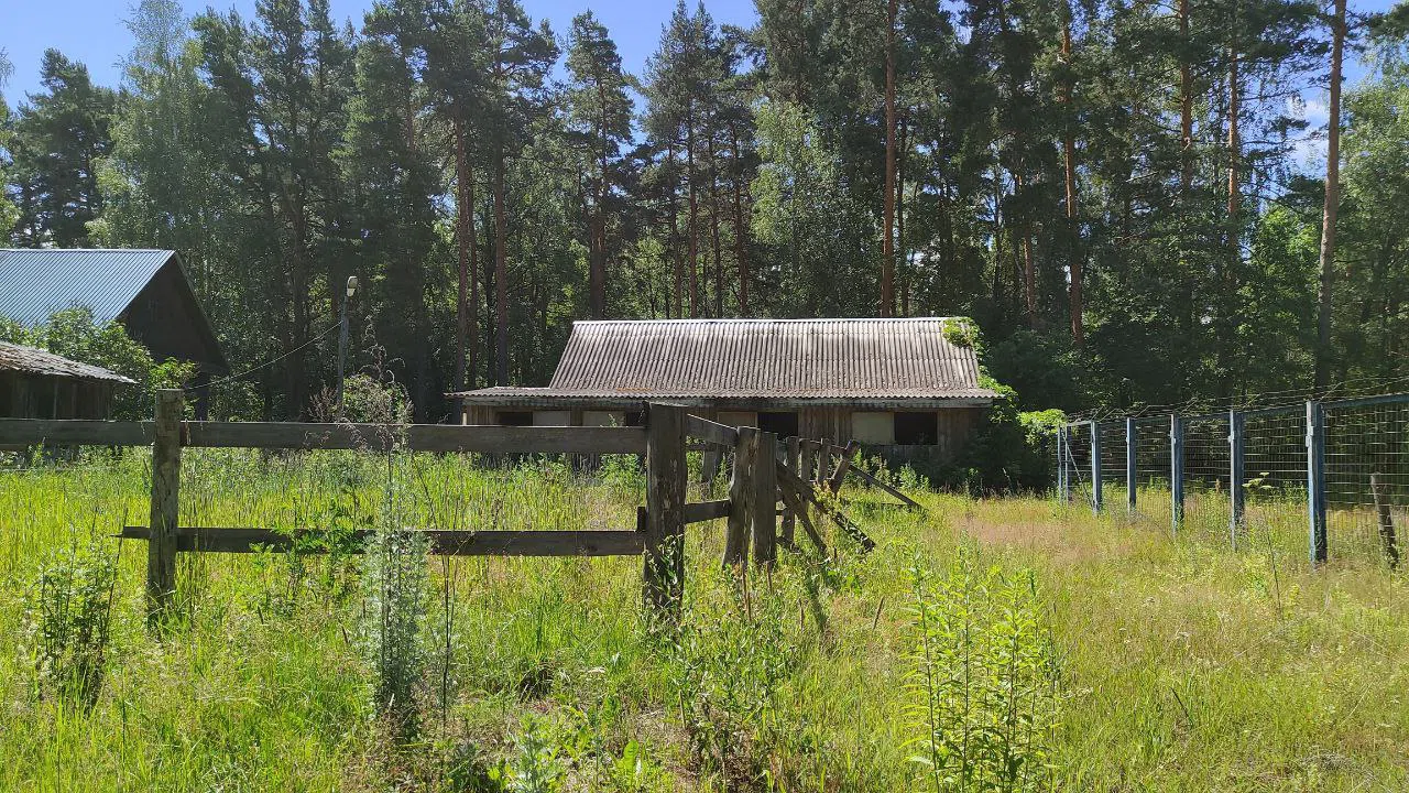 Дача с зелёной крышей, фото 23