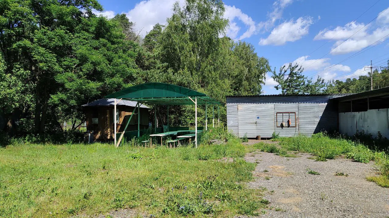 Дача с зелёной крышей, фото 12