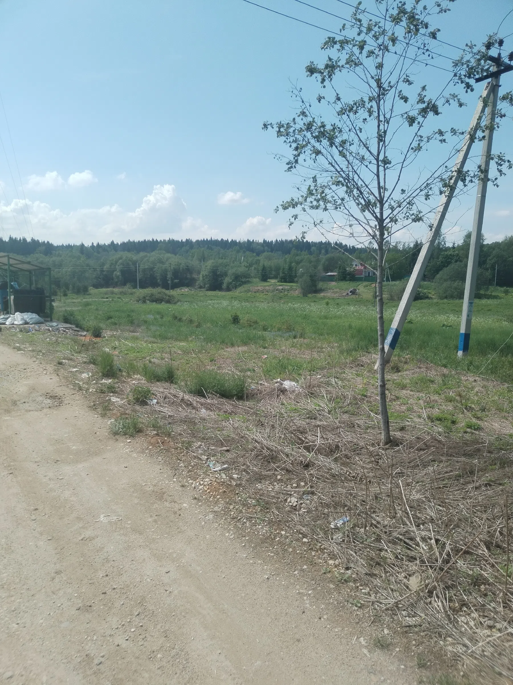 Дикая полевая дорога, фото 3