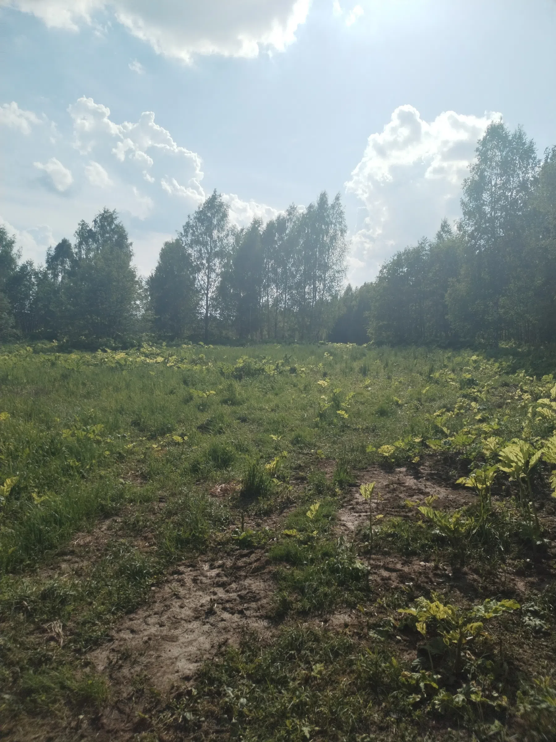 Дикая полевая дорога, фото 23