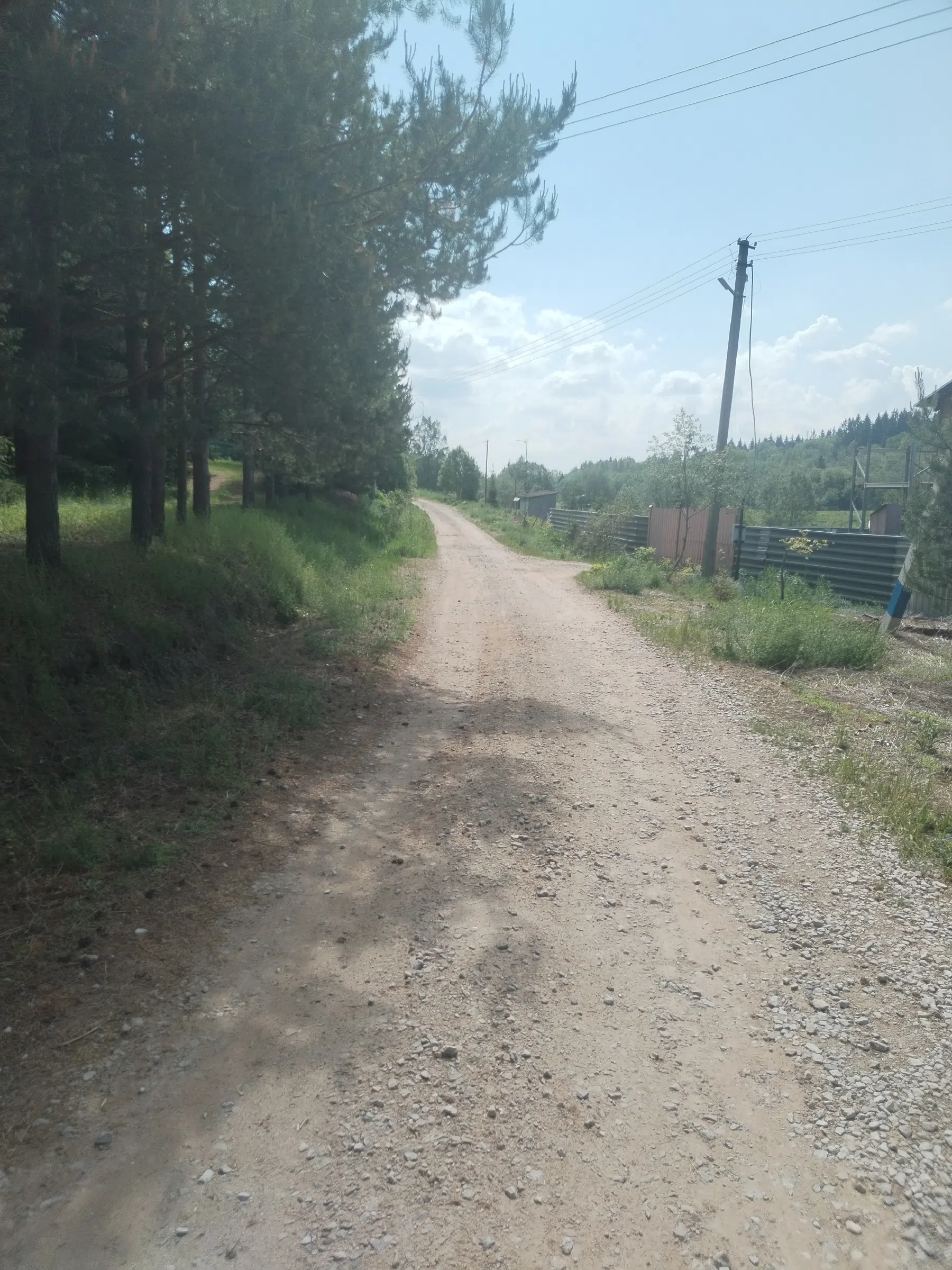 Дикая полевая дорога, фото 4