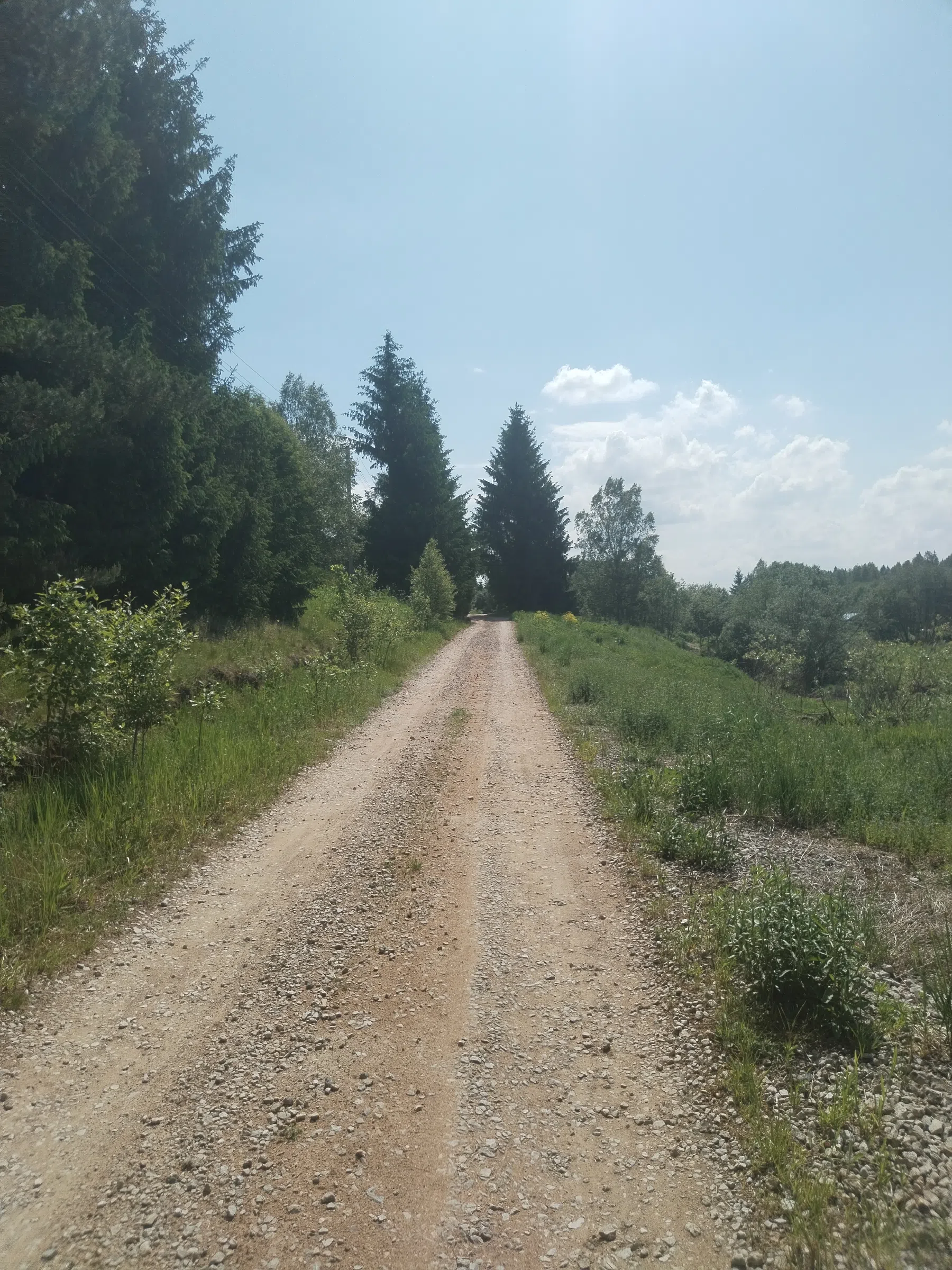 Дикая полевая дорога, фото 10