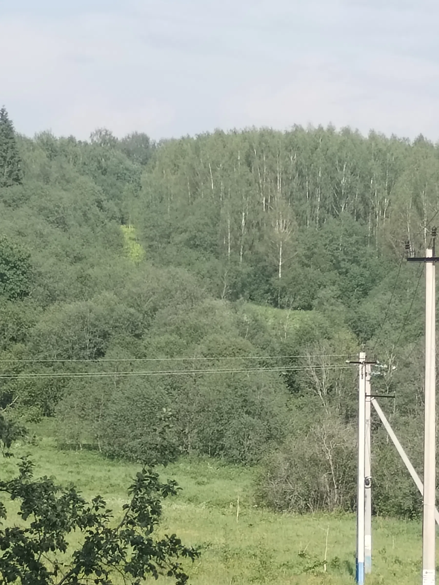 Дикая полевая дорога, фото 21