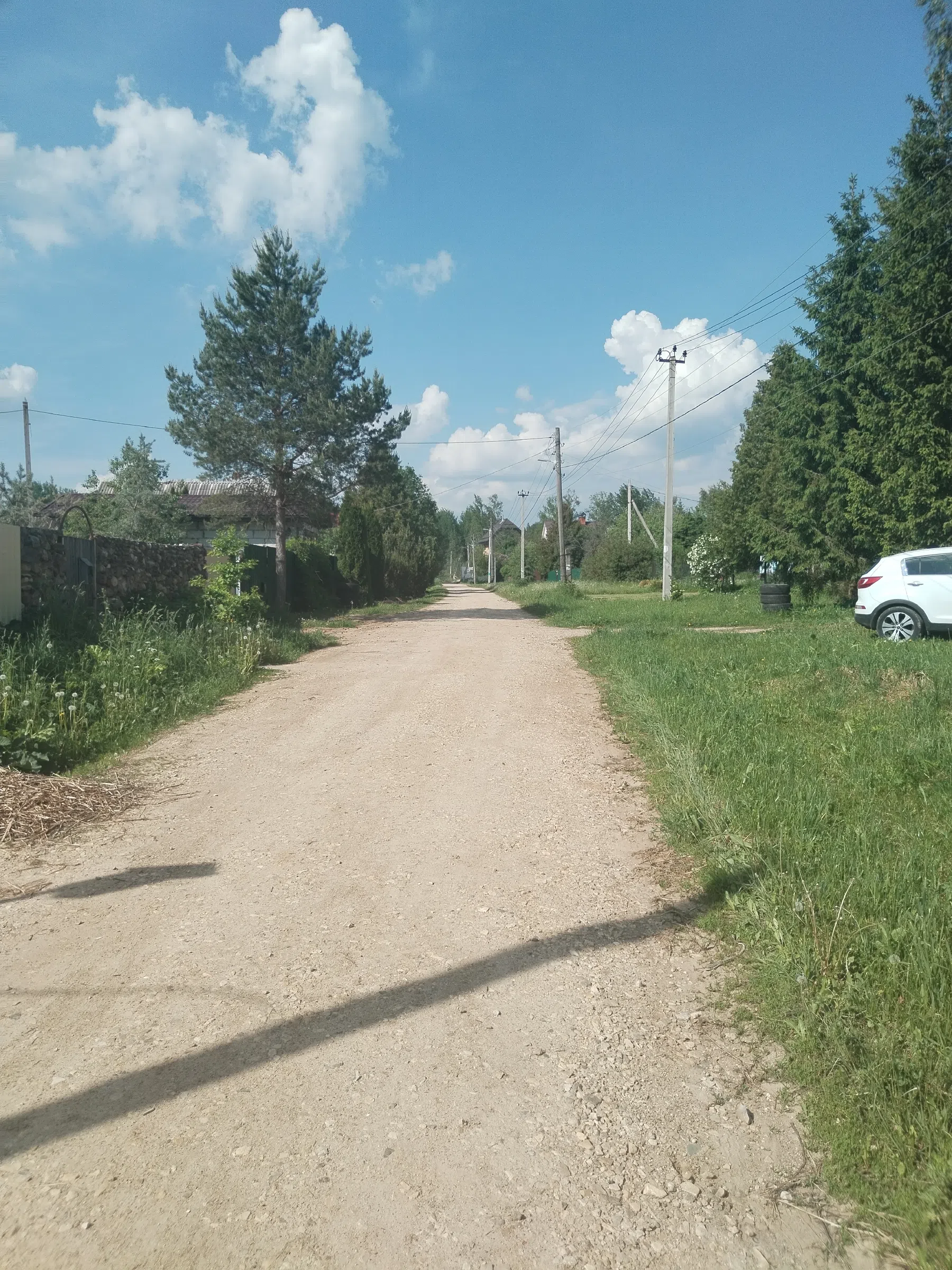 Дикая полевая дорога, фото 17