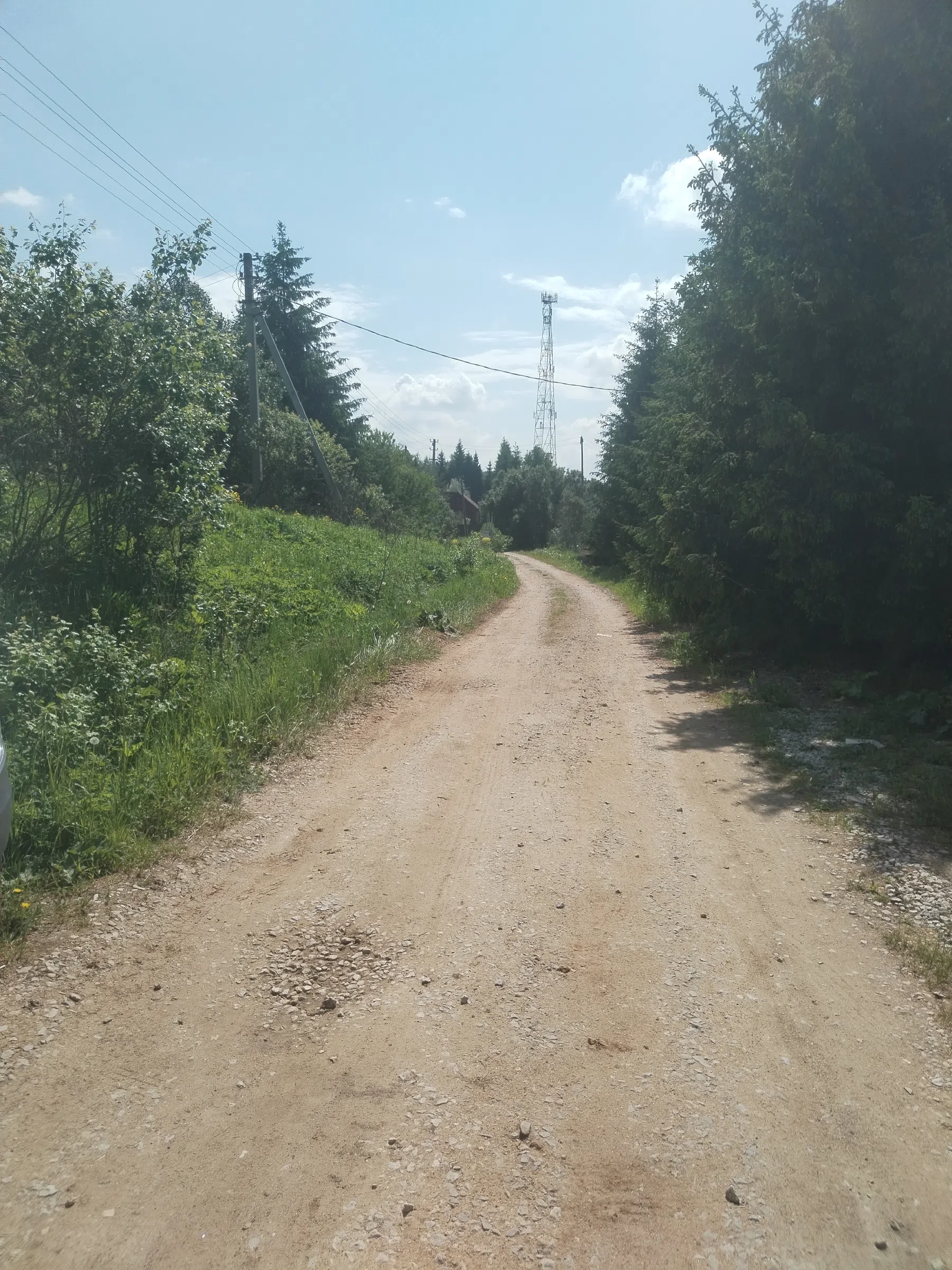 Дикая полевая дорога, фото 15