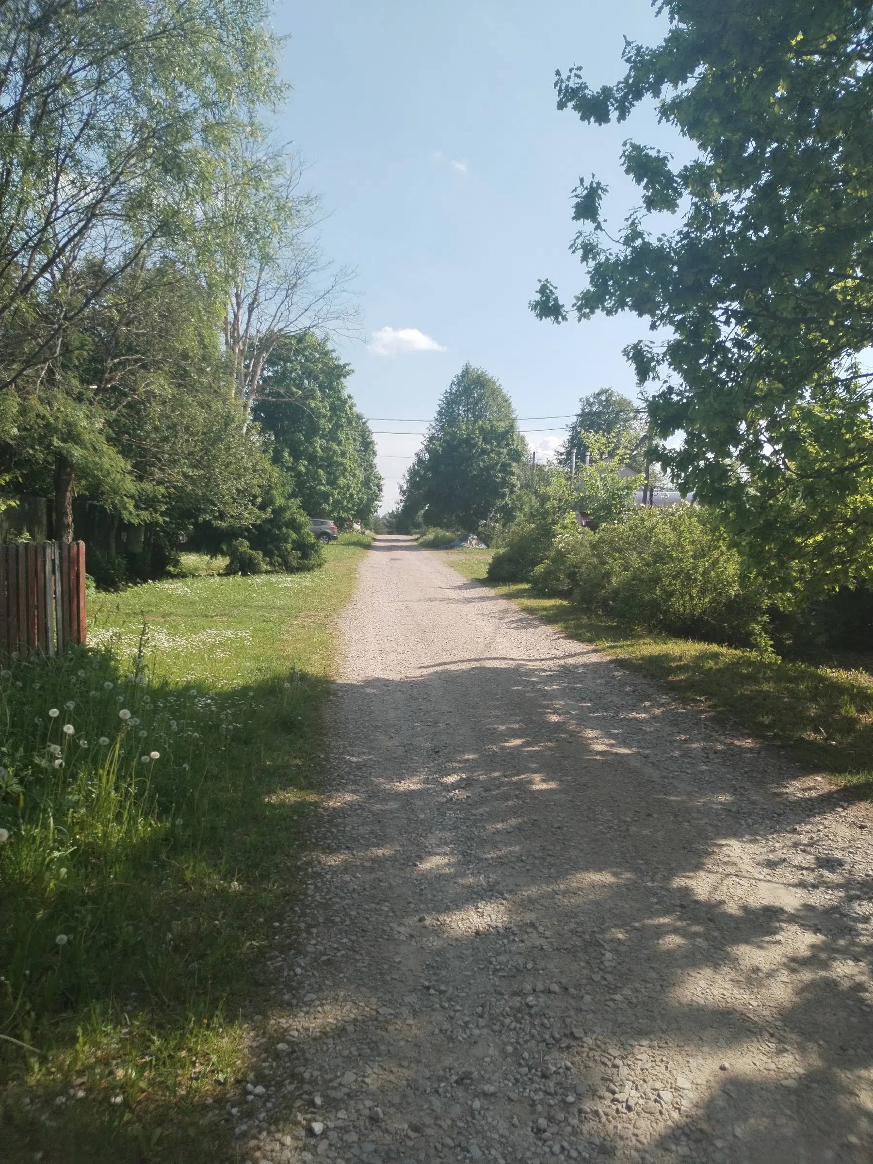 Дикая полевая дорога, фото 19