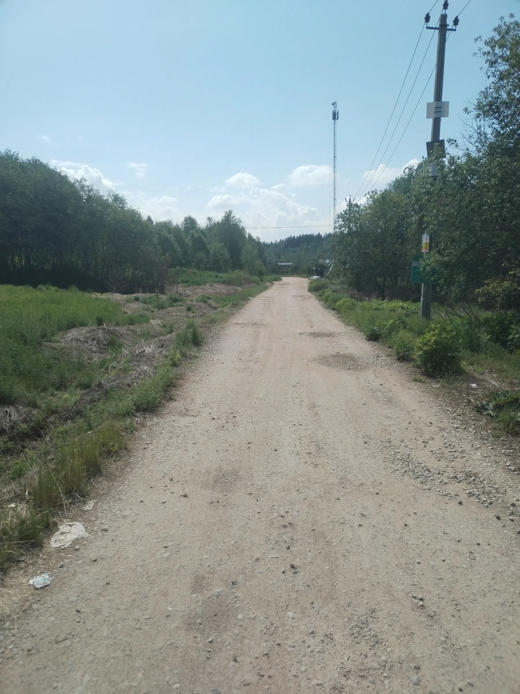 Дикая полевая дорога, фото 1