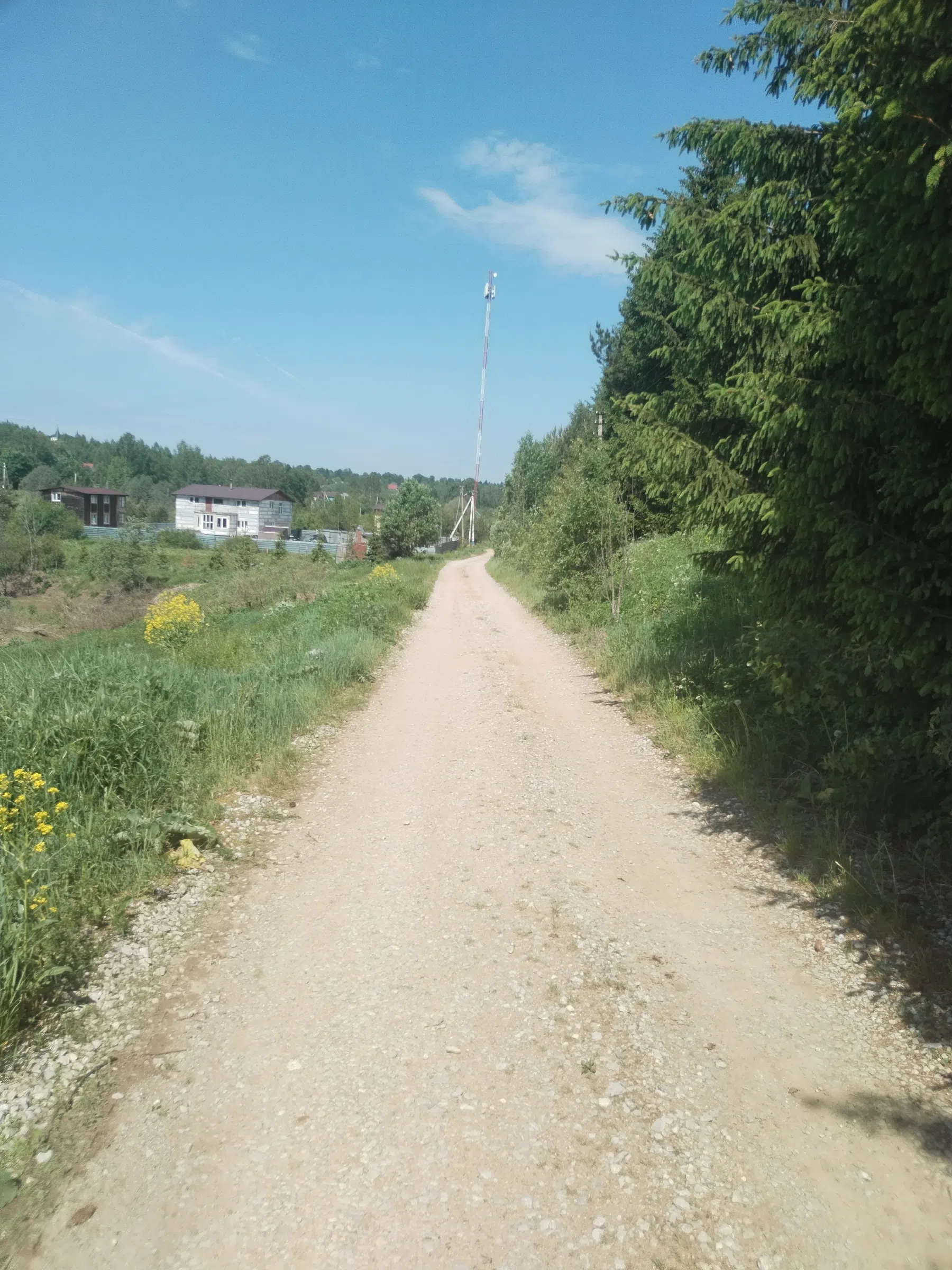 Дикая полевая дорога, фото 11