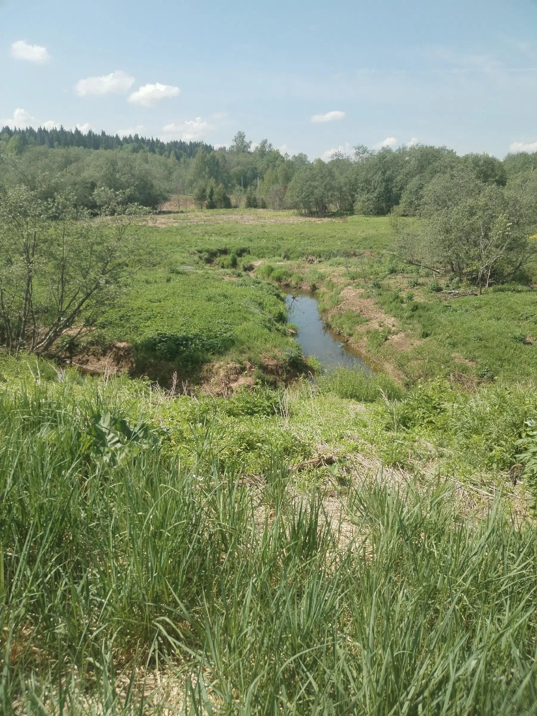 Дикая полевая дорога, фото 13