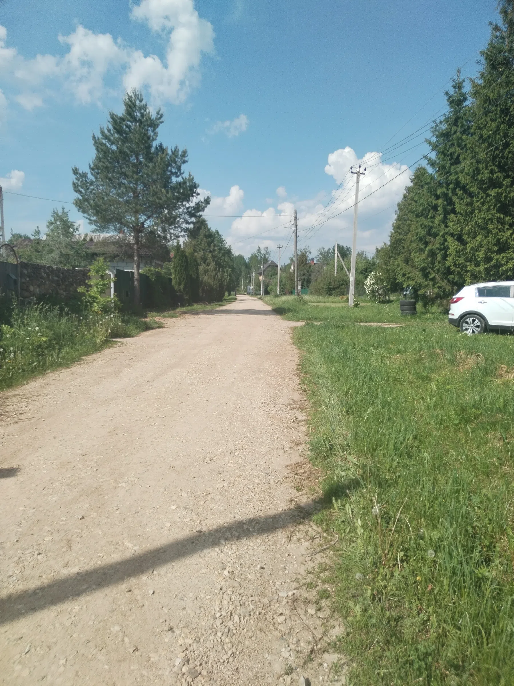 Дикая полевая дорога, фото 18
