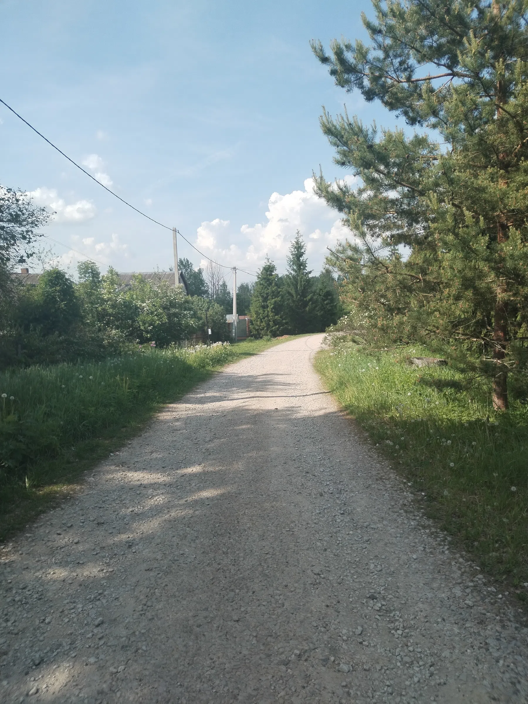 Дикая полевая дорога, фото 20