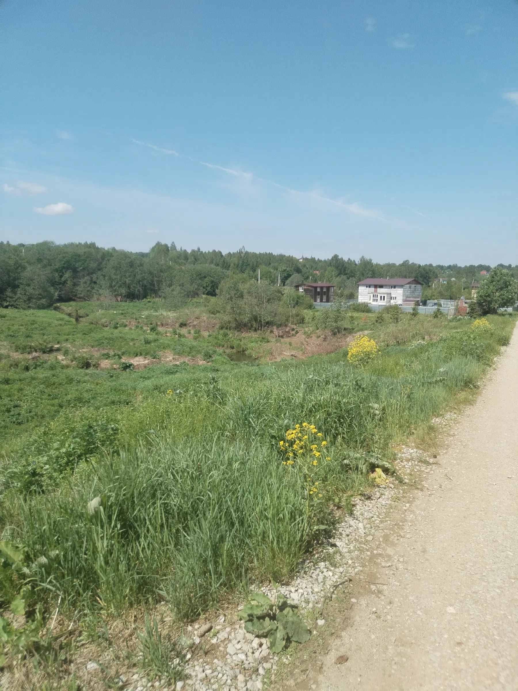 Дикая полевая дорога, фото 12