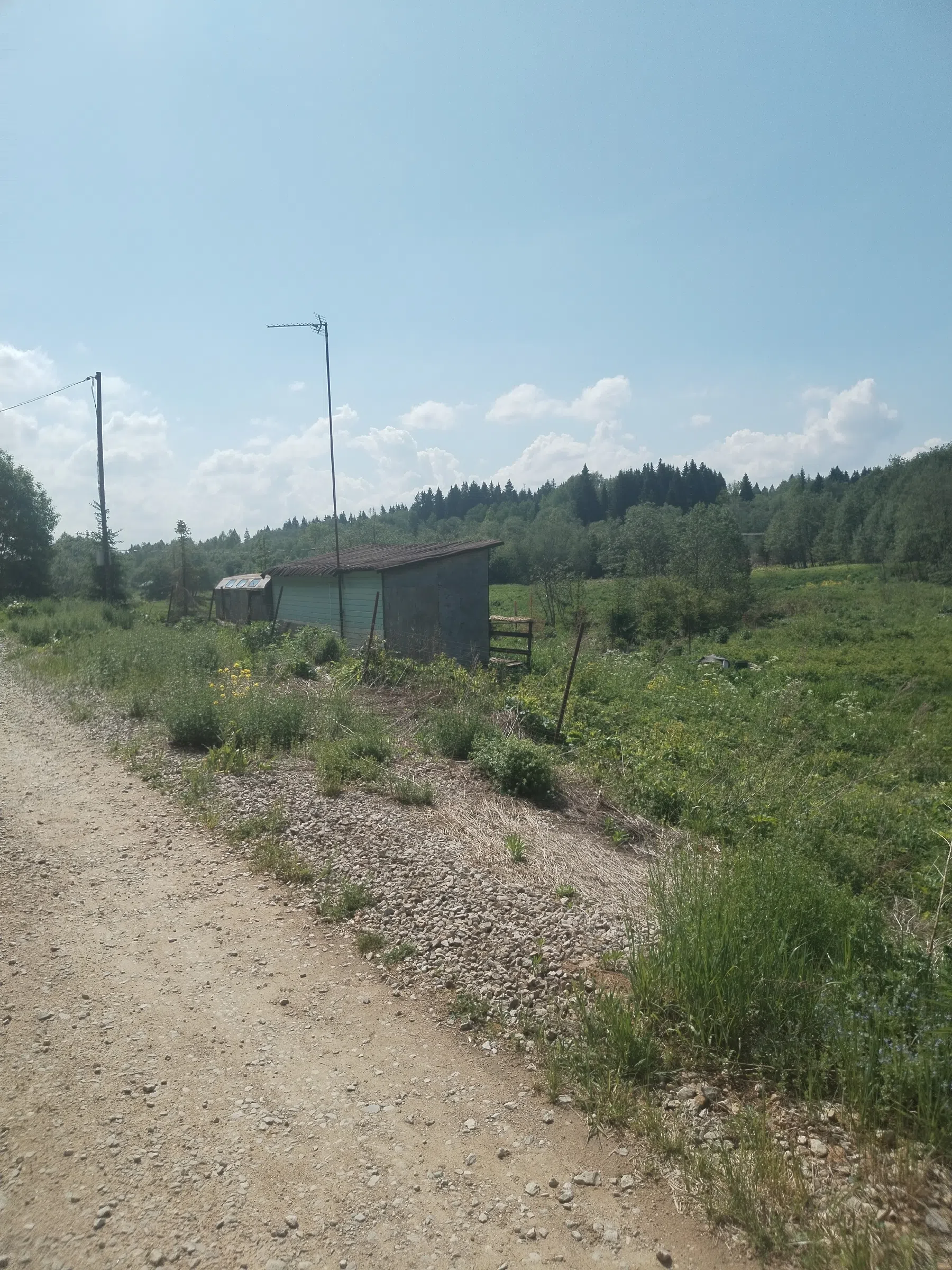 Дикая полевая дорога, фото 7