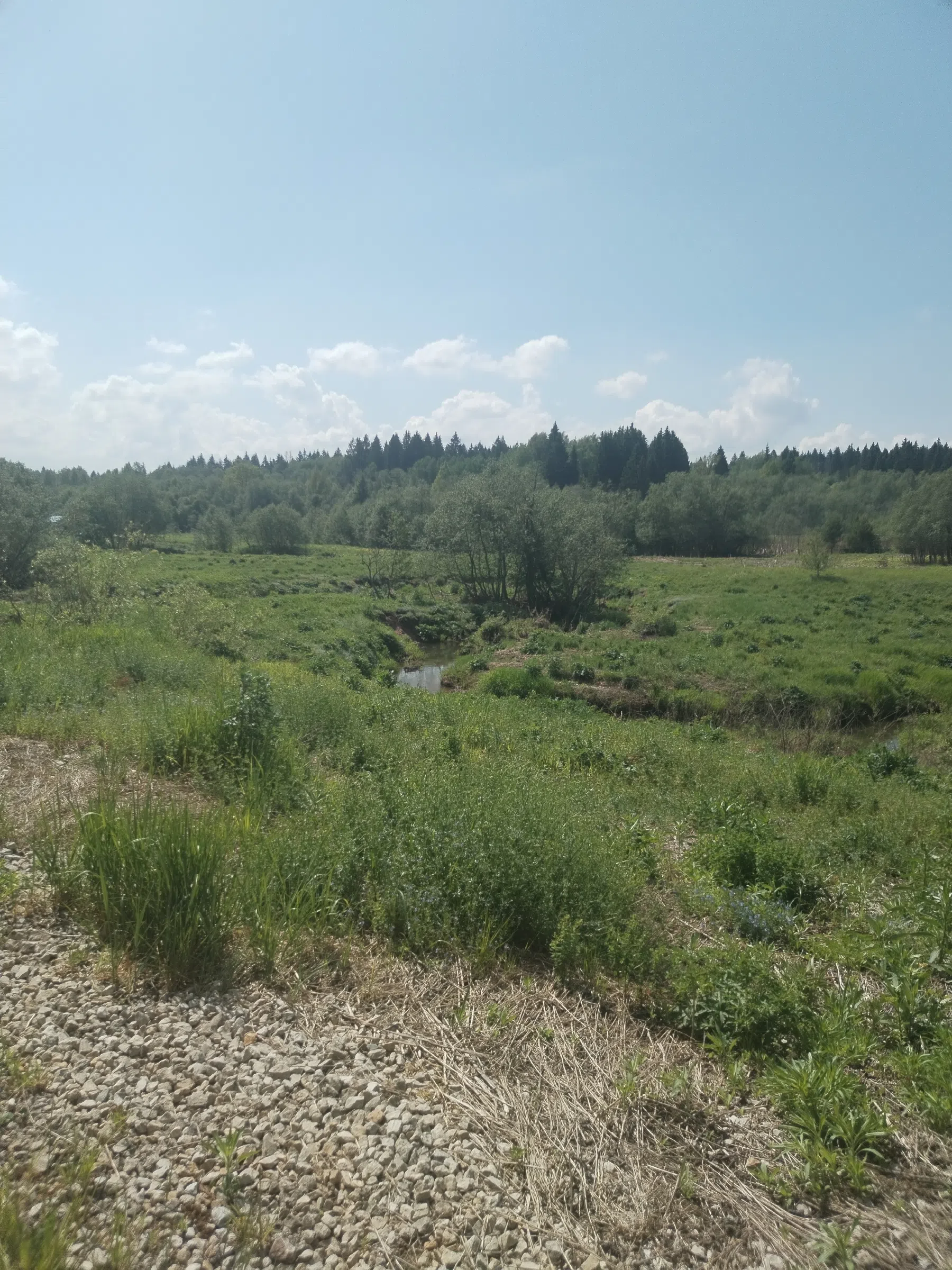 Дикая полевая дорога, фото 9