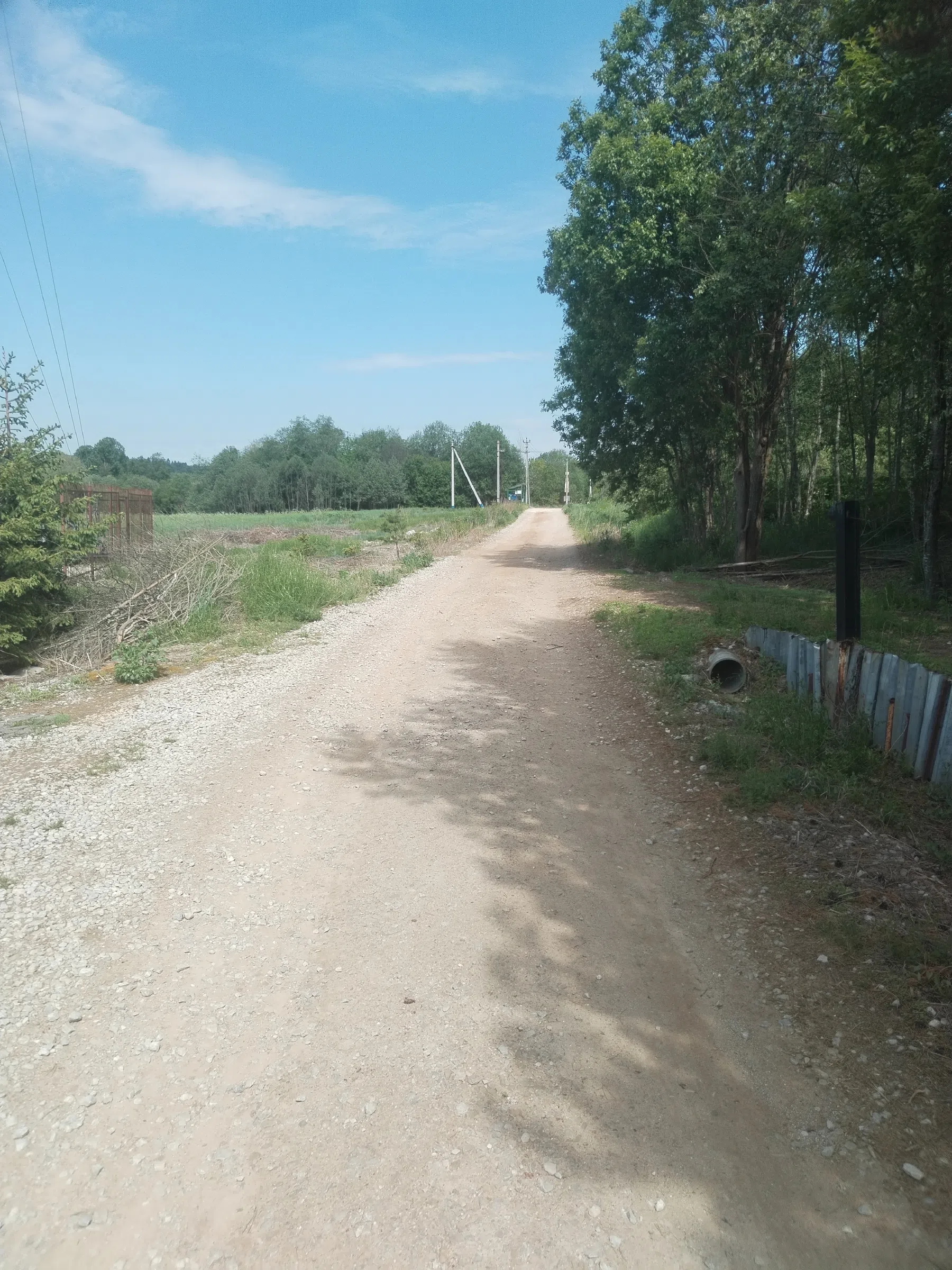 Дикая полевая дорога, фото 6