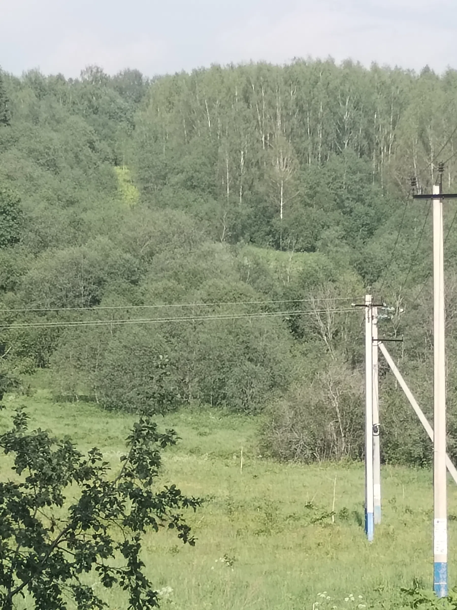 Дикая полевая дорога, фото 22