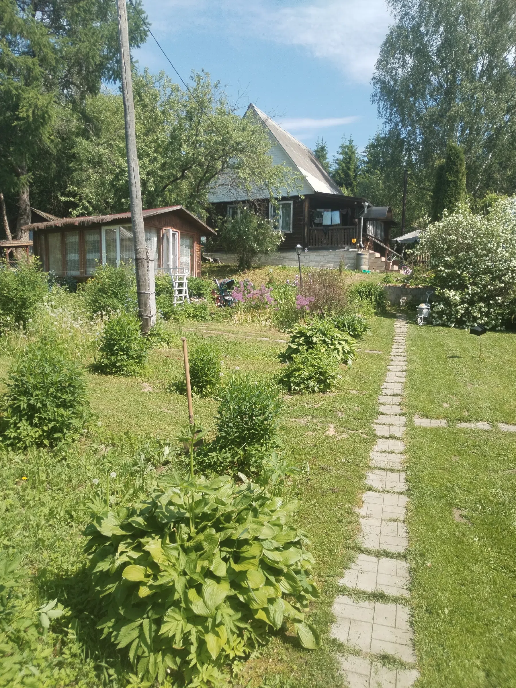 Дикая полевая дорога, фото 16