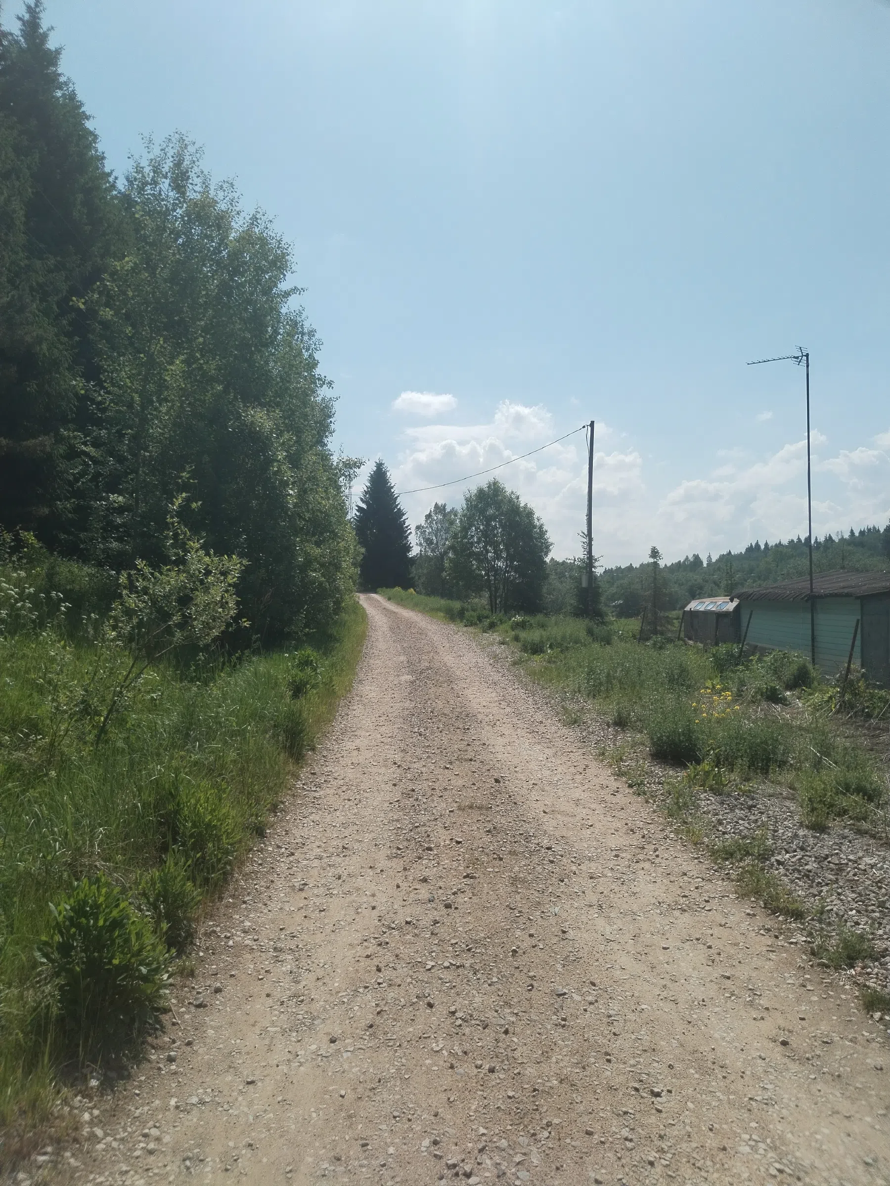 Дикая полевая дорога, фото 8