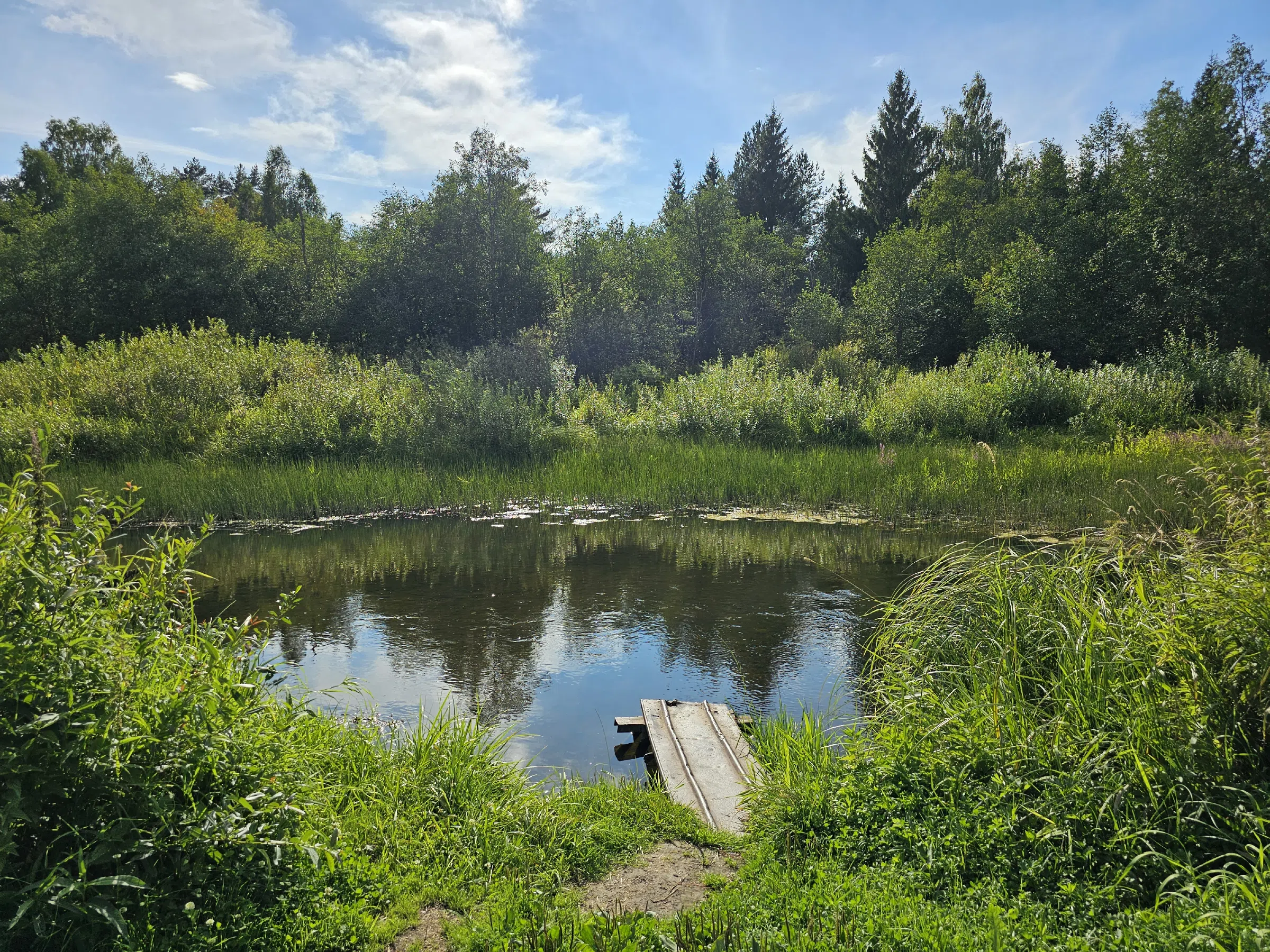 Деревня у реки, фото 4