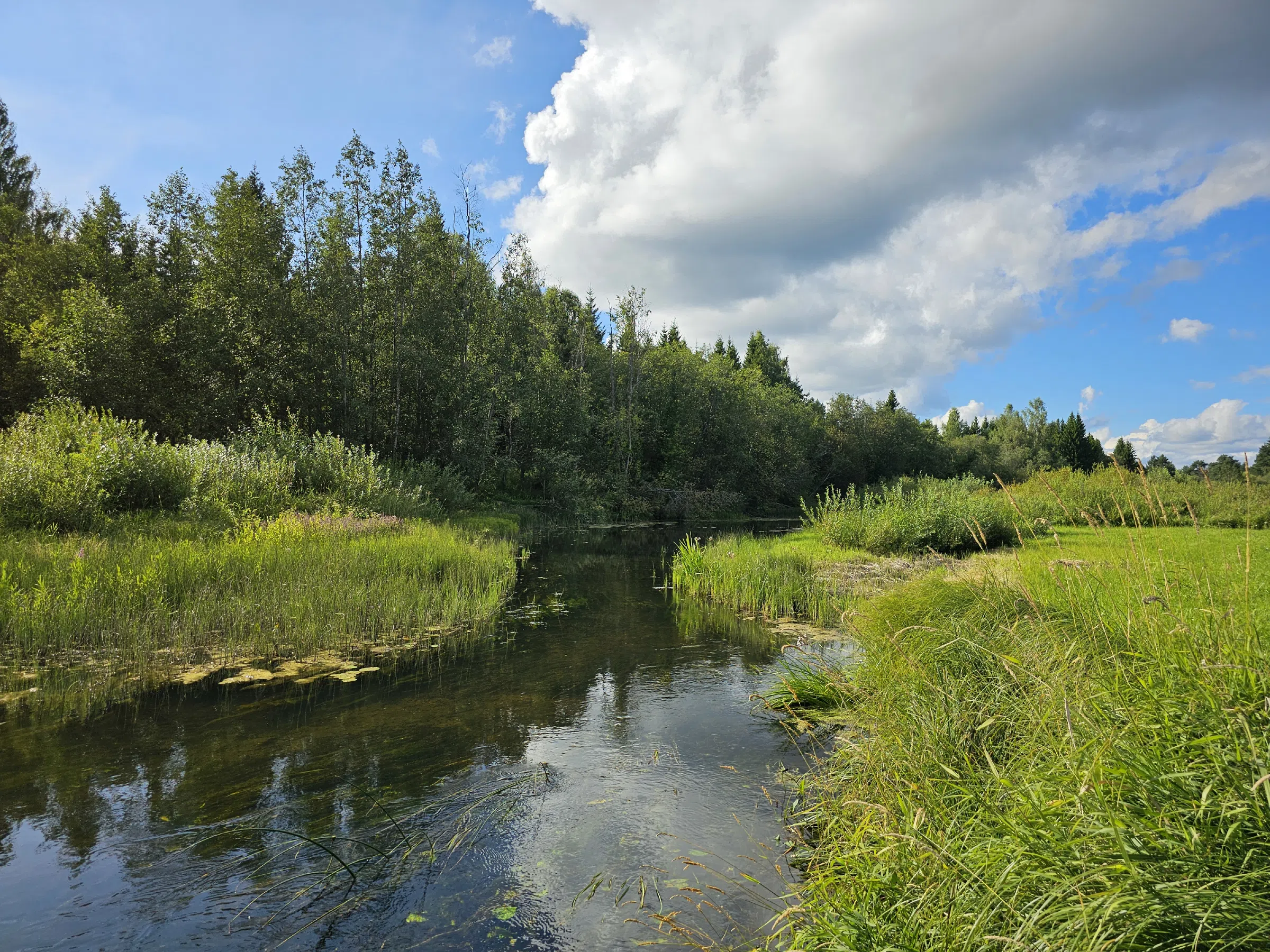 Деревня у реки, фото 3