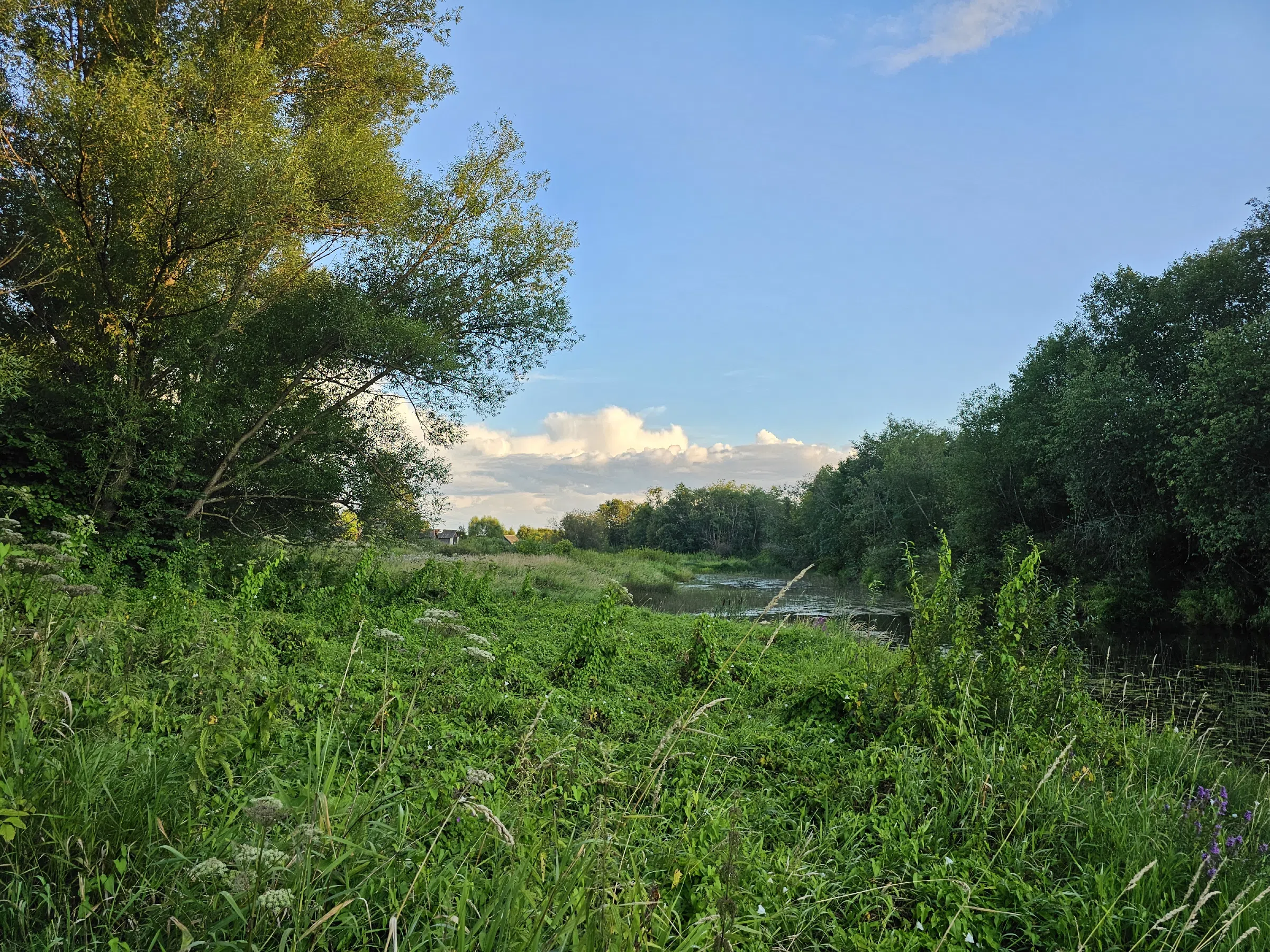 Деревенская изба у реки, фото 4