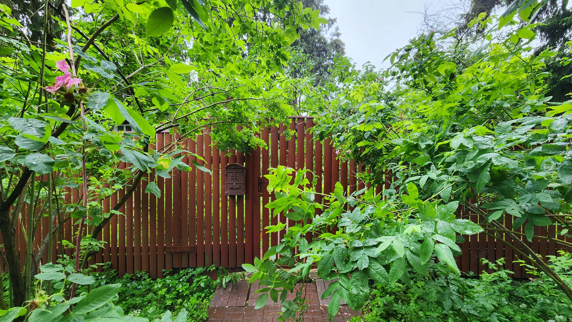 Дача Красной Зарянки, фото 4