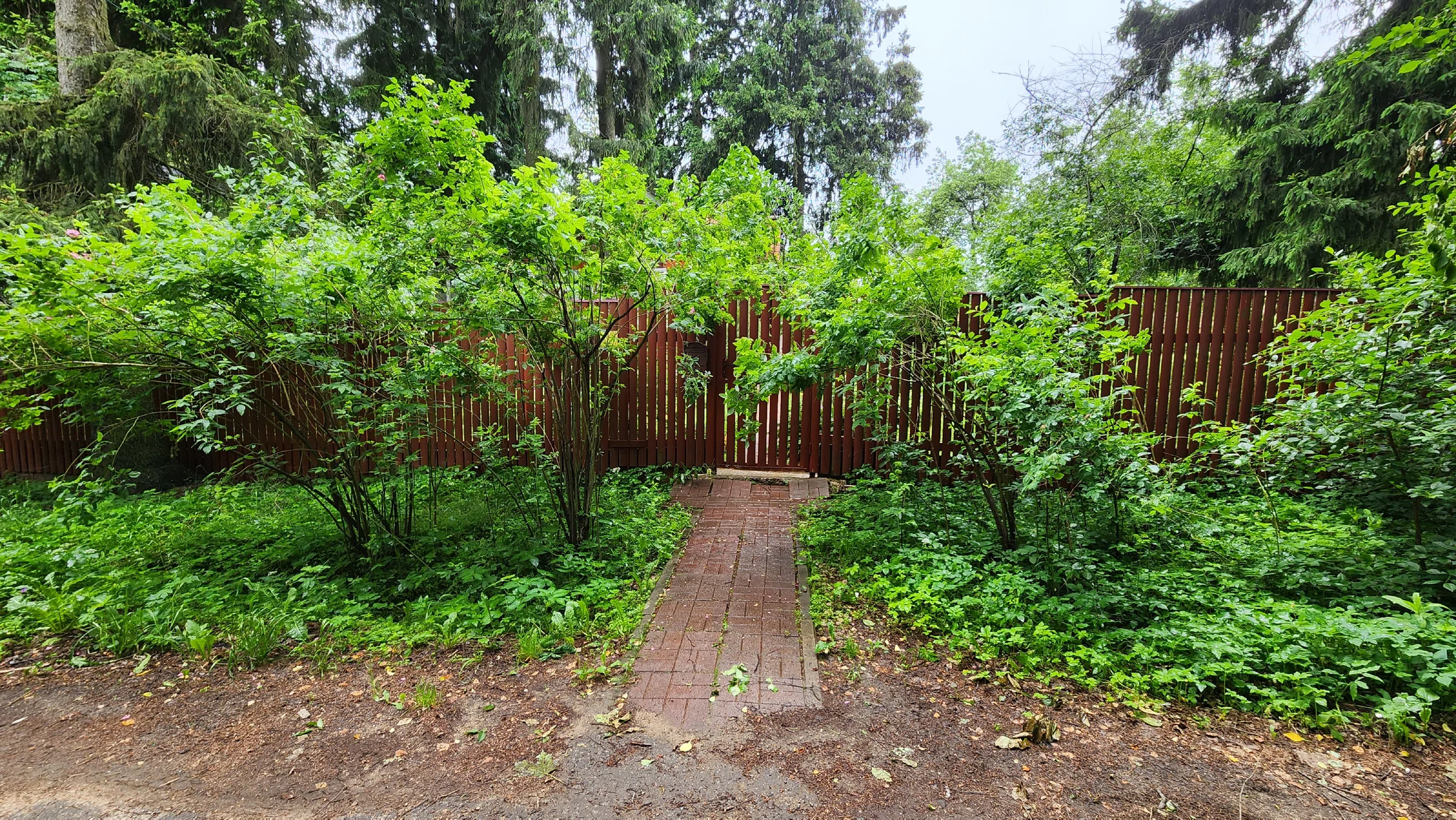 Дача Красной Зарянки, фото 1