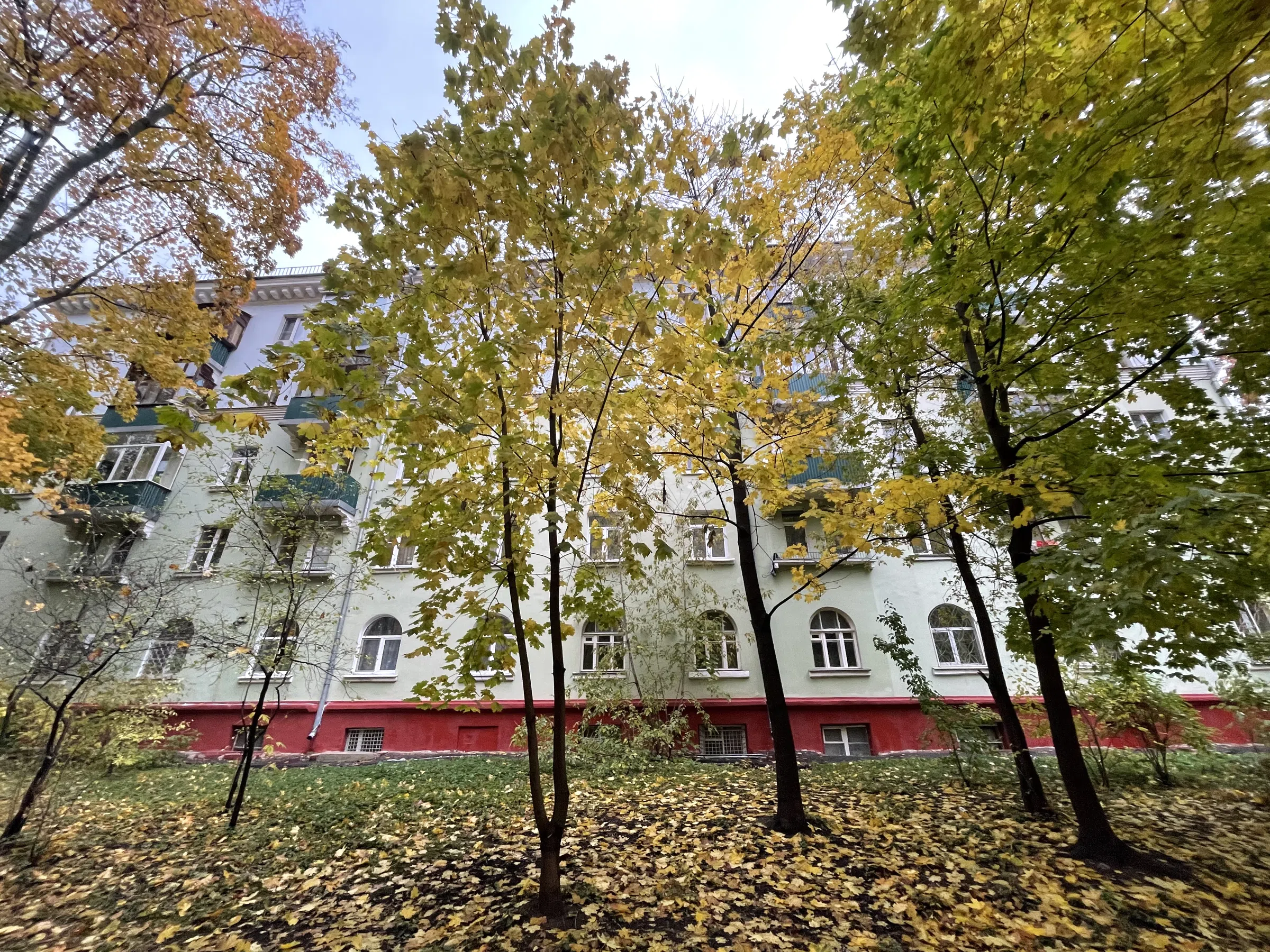 Зеленый фасад, арки, фото 4