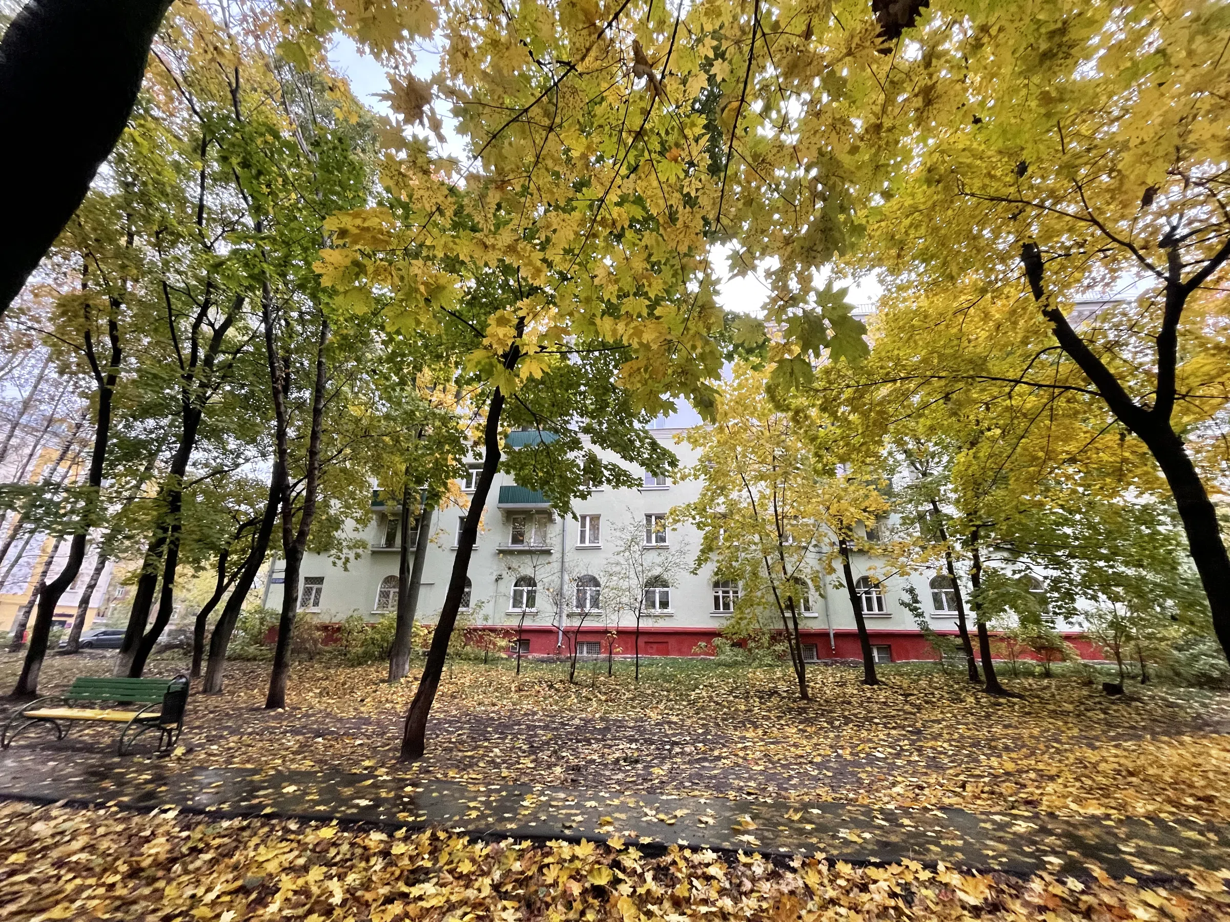 Зеленый фасад, арки, фото 5