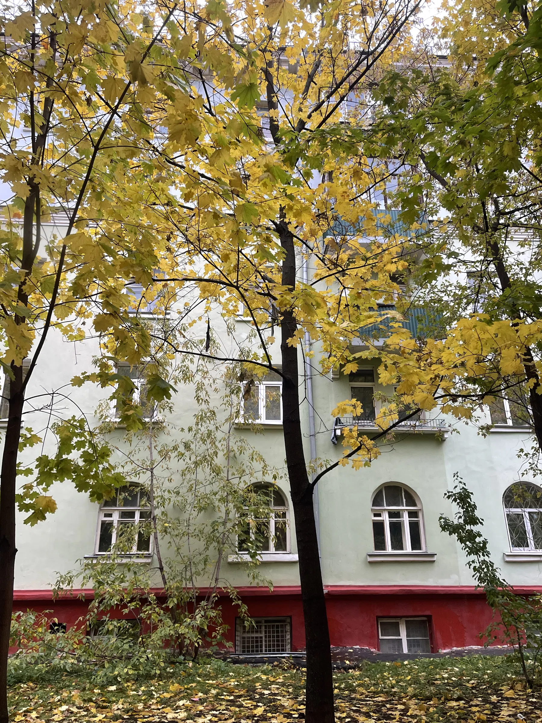 Зеленый фасад, арки, фото 3