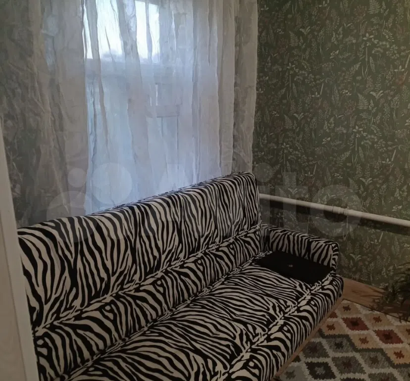 Хрущевка с зеброй, фото 1