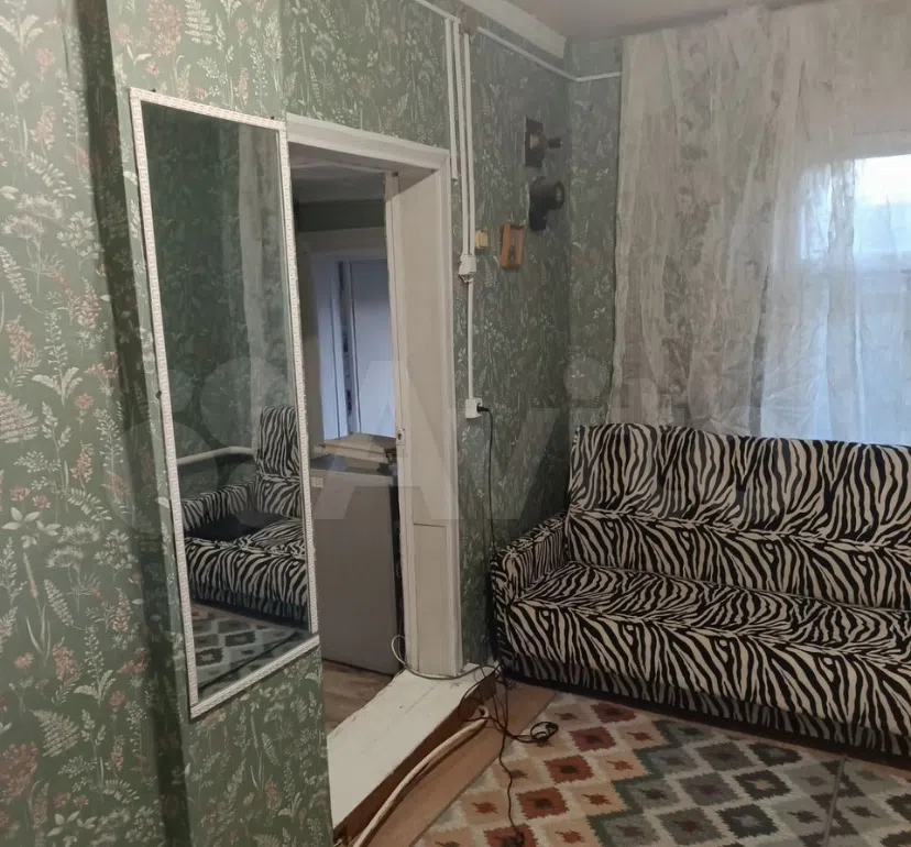 Хрущевка с зеброй, фото 5