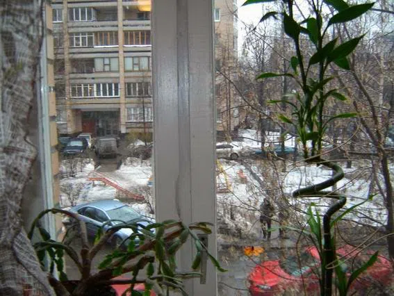 Хрущёвка с узорными обоями, фото 15