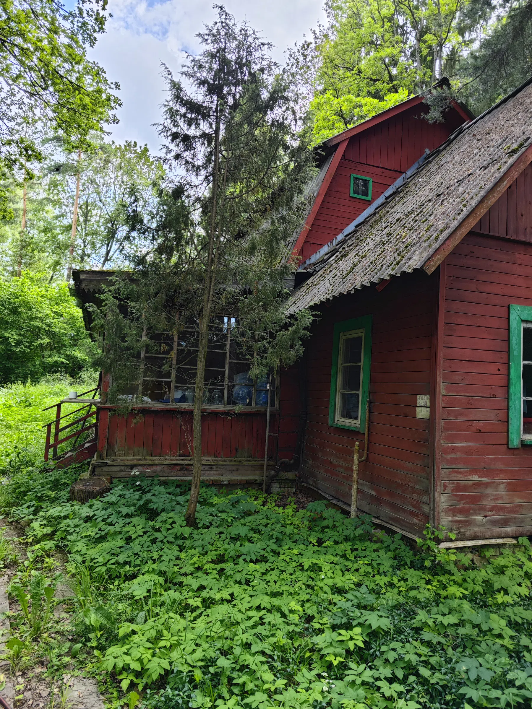 Красный Домик в Лесу, фото 8