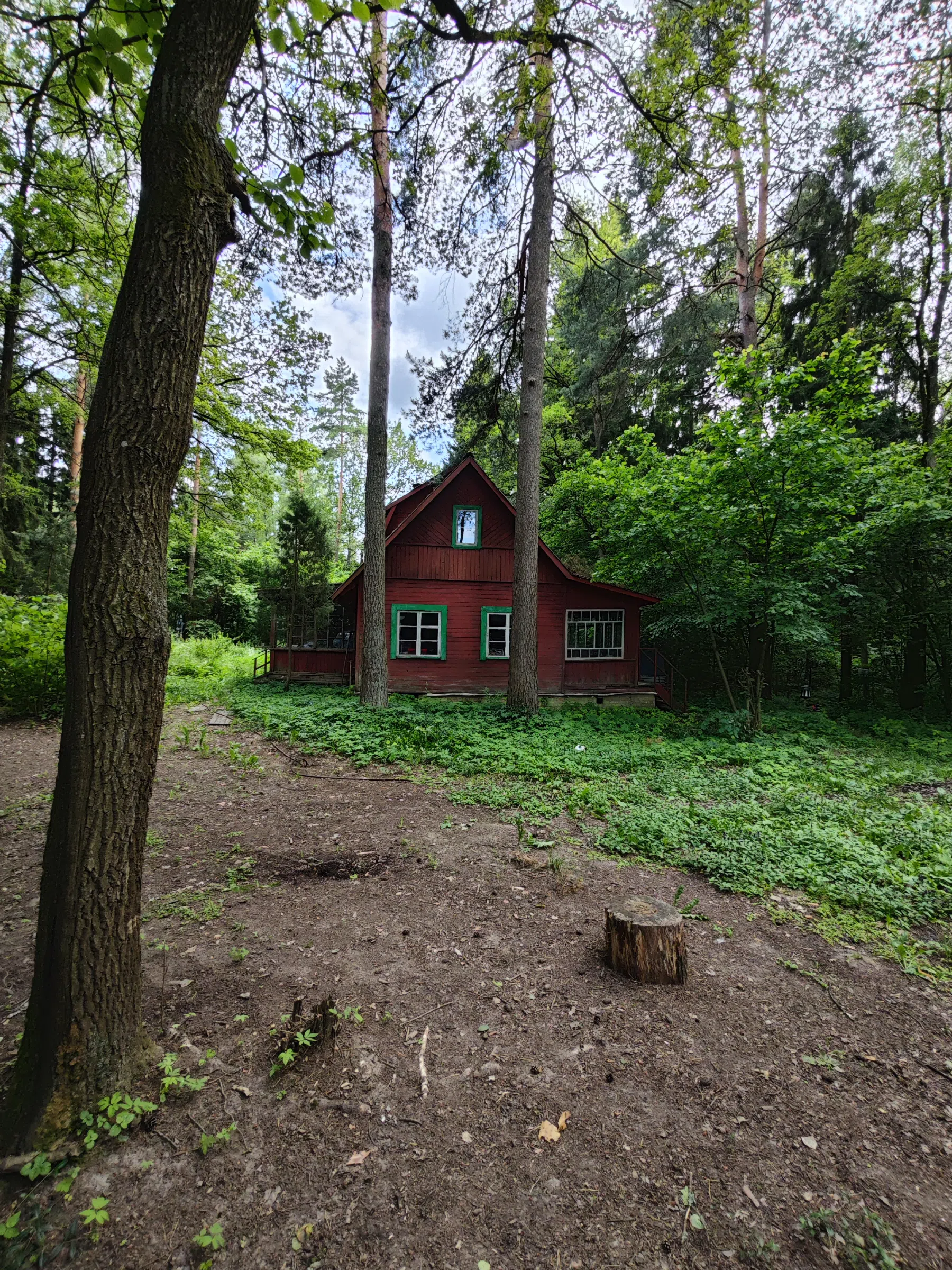 Красный Домик в Лесу, фото 5