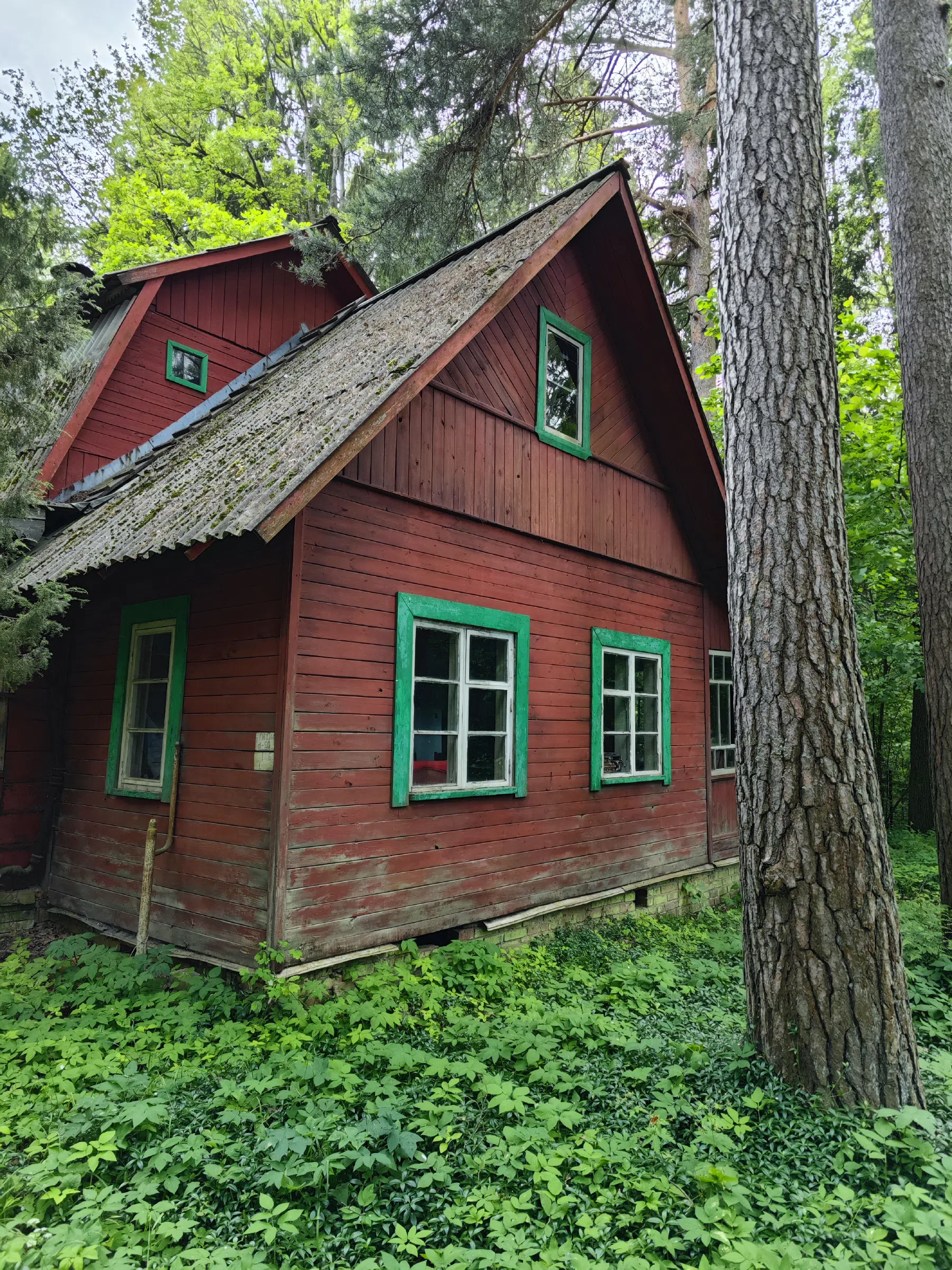 Красный Домик в Лесу, фото 7