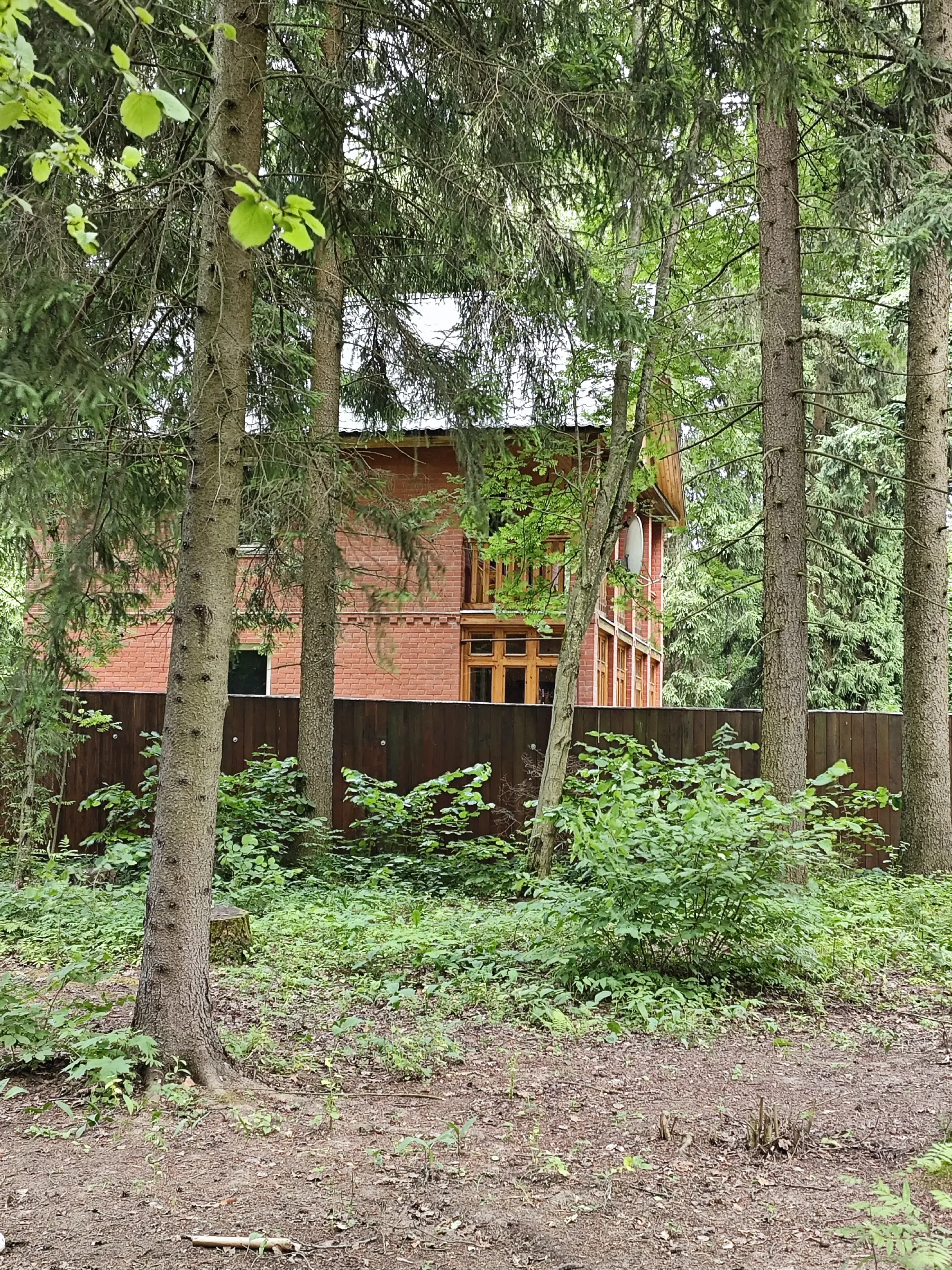 Красный Домик в Лесу, фото 6