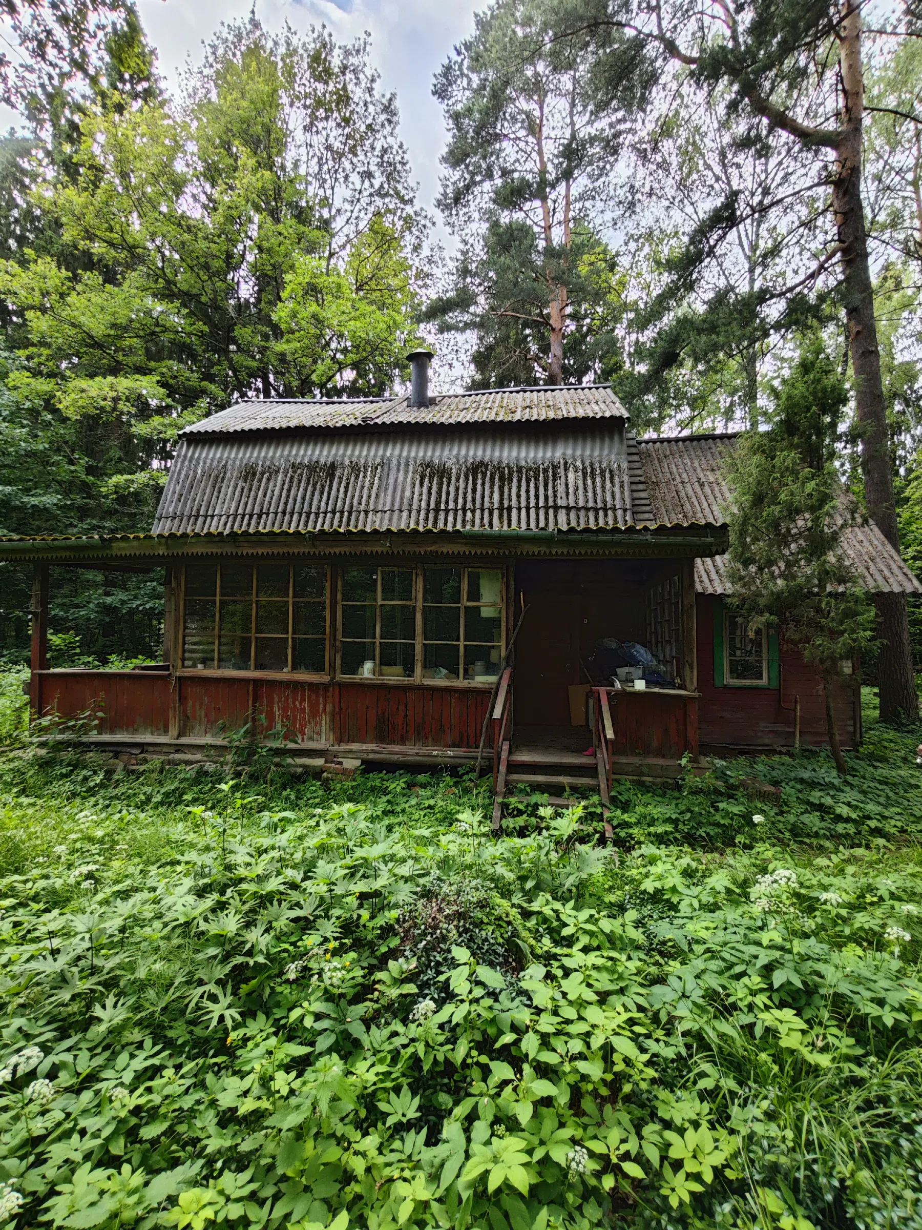 Красный Домик в Лесу, фото 10