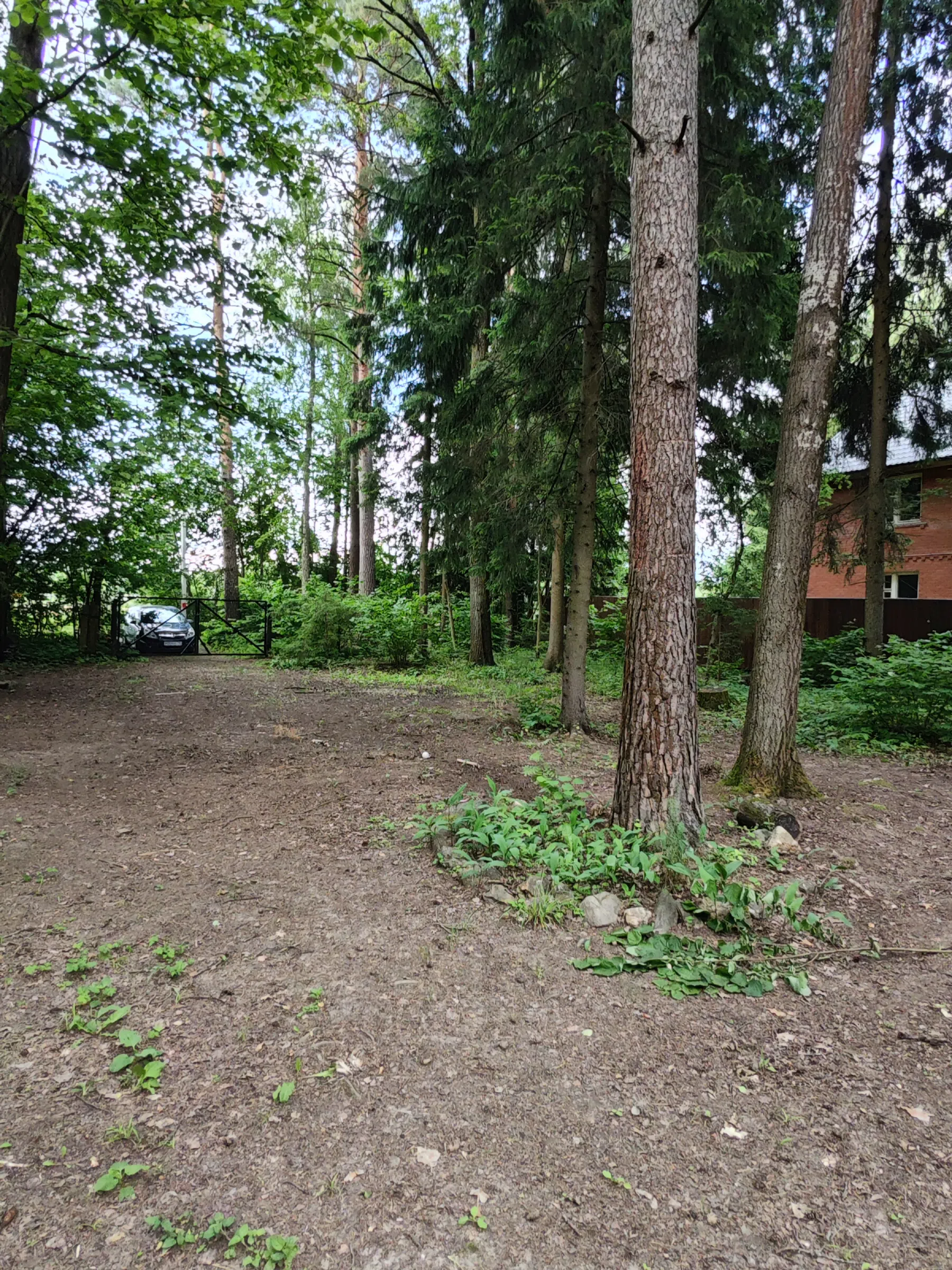 Красный Домик в Лесу, фото 15
