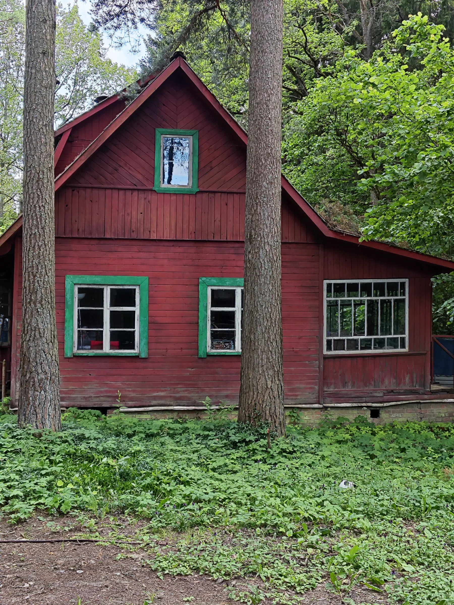 Красный Домик в Лесу, фото 4