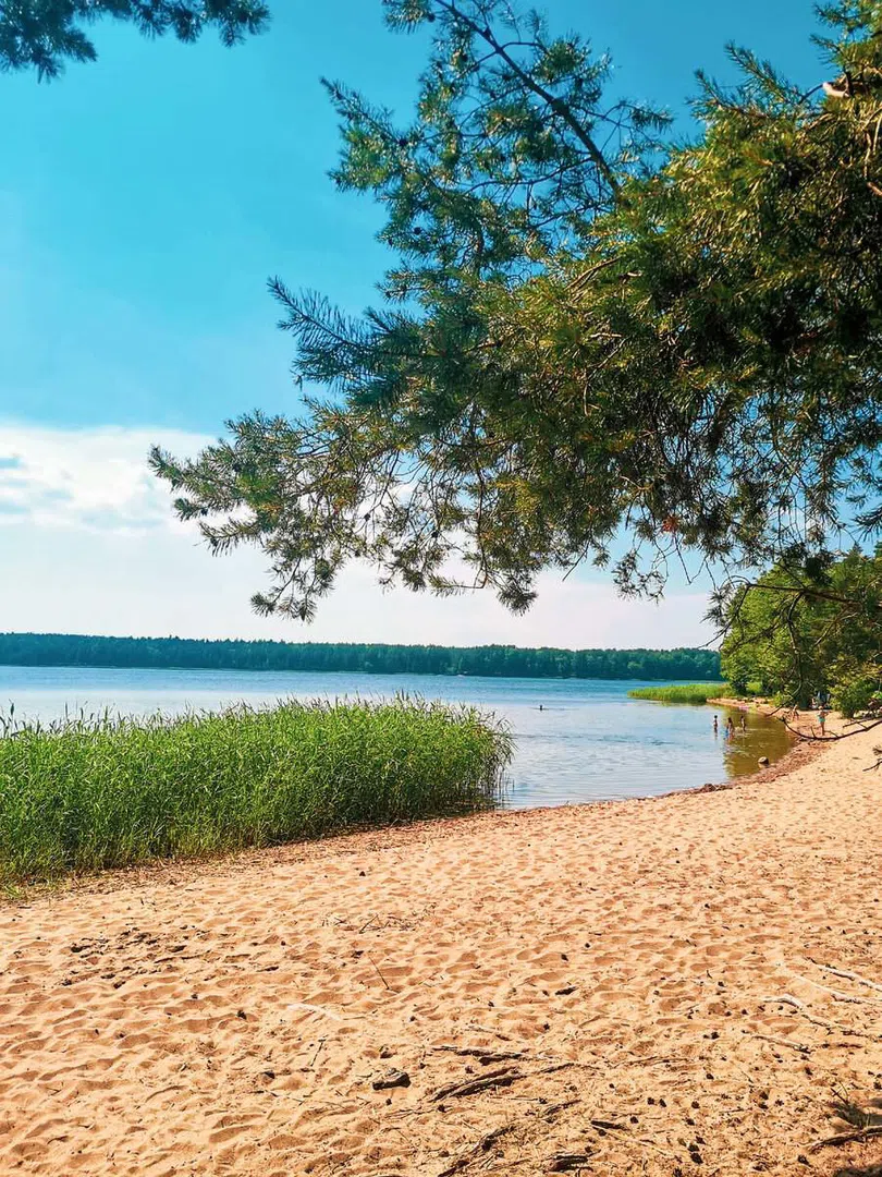 Панорама озера с пляжем, фото 5