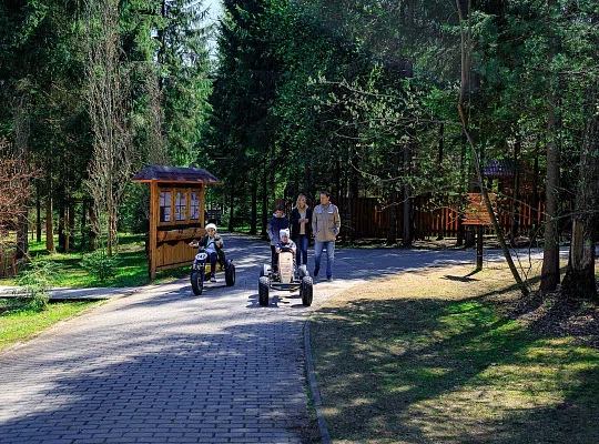 Деревянный дом у пруда, фото 14