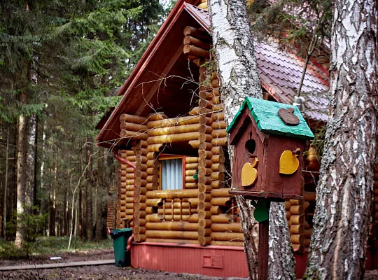 Деревянный дом у пруда, фото 12