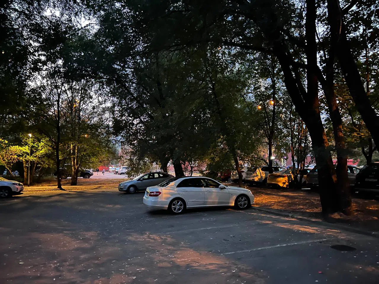 Парковка под деревьями, фото 1