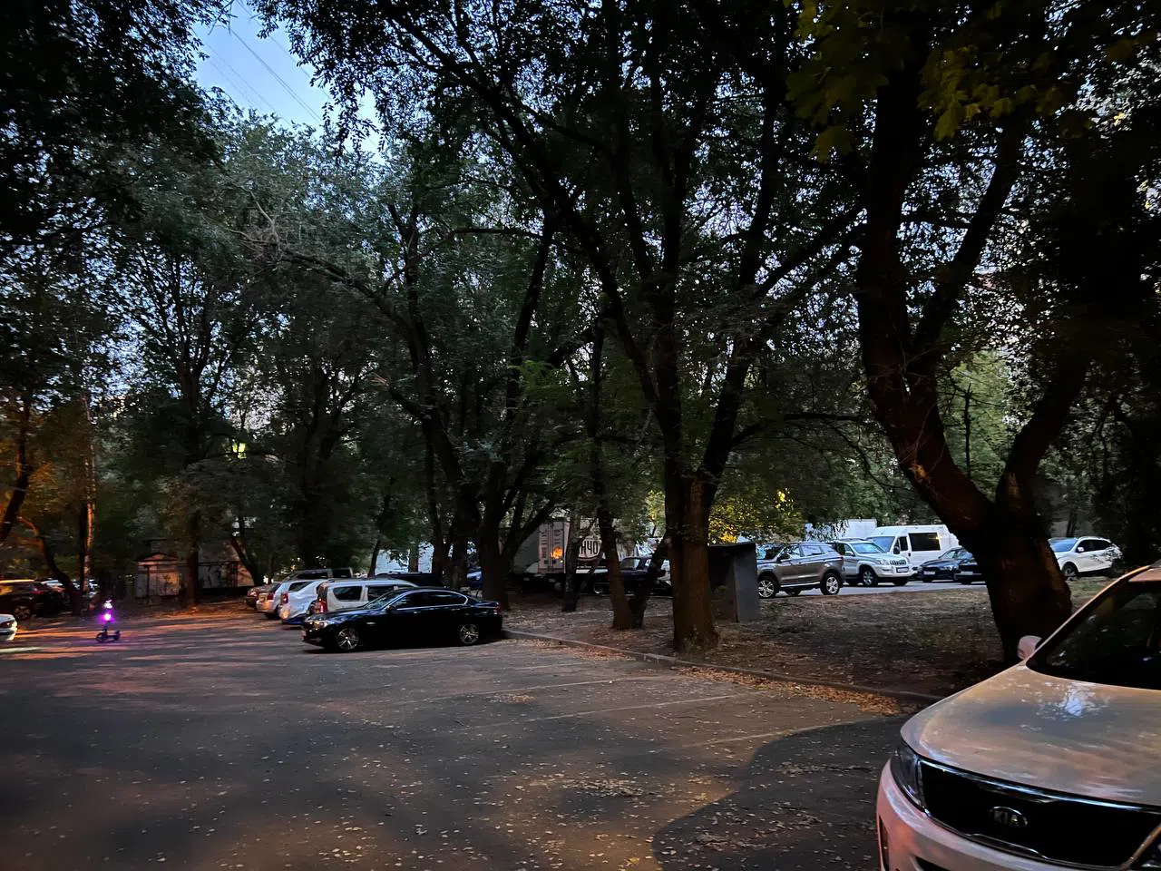 Парковка под деревьями, фото 4