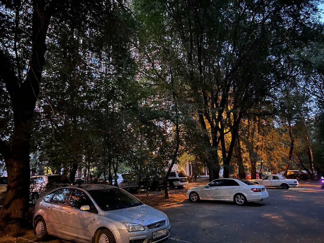 Вечерняя парковка у леса, фото 3