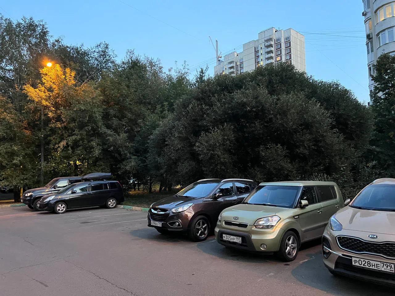 Вечерняя парковка у леса, фото 2