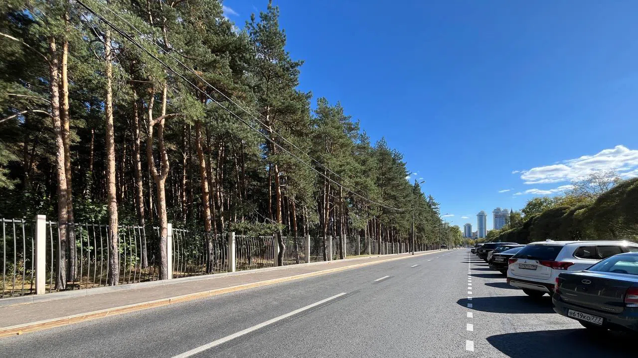 Парковка в парке, фото 23