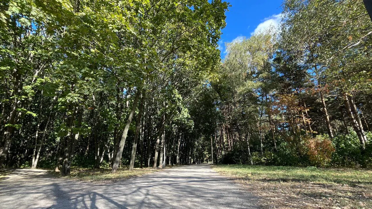 Парковка в парке, фото 16