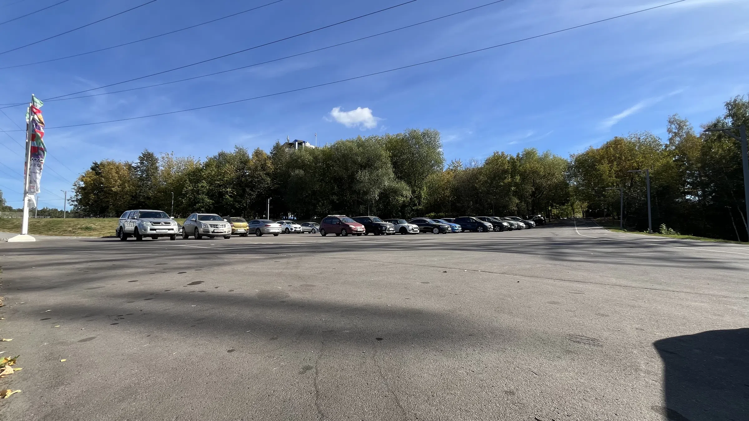 Большая парковка у леса, фото 1